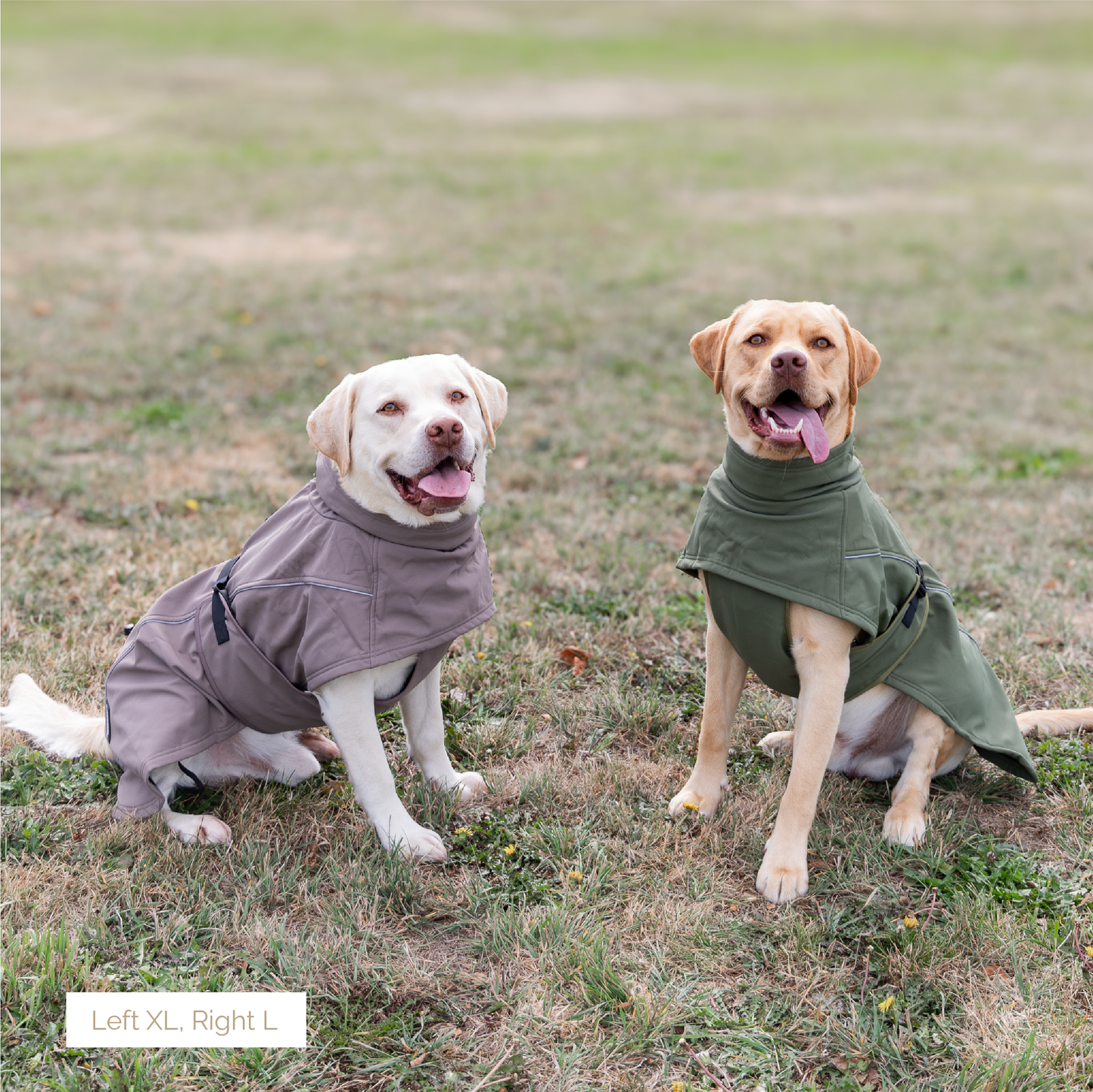Waterproof Jacket - Green