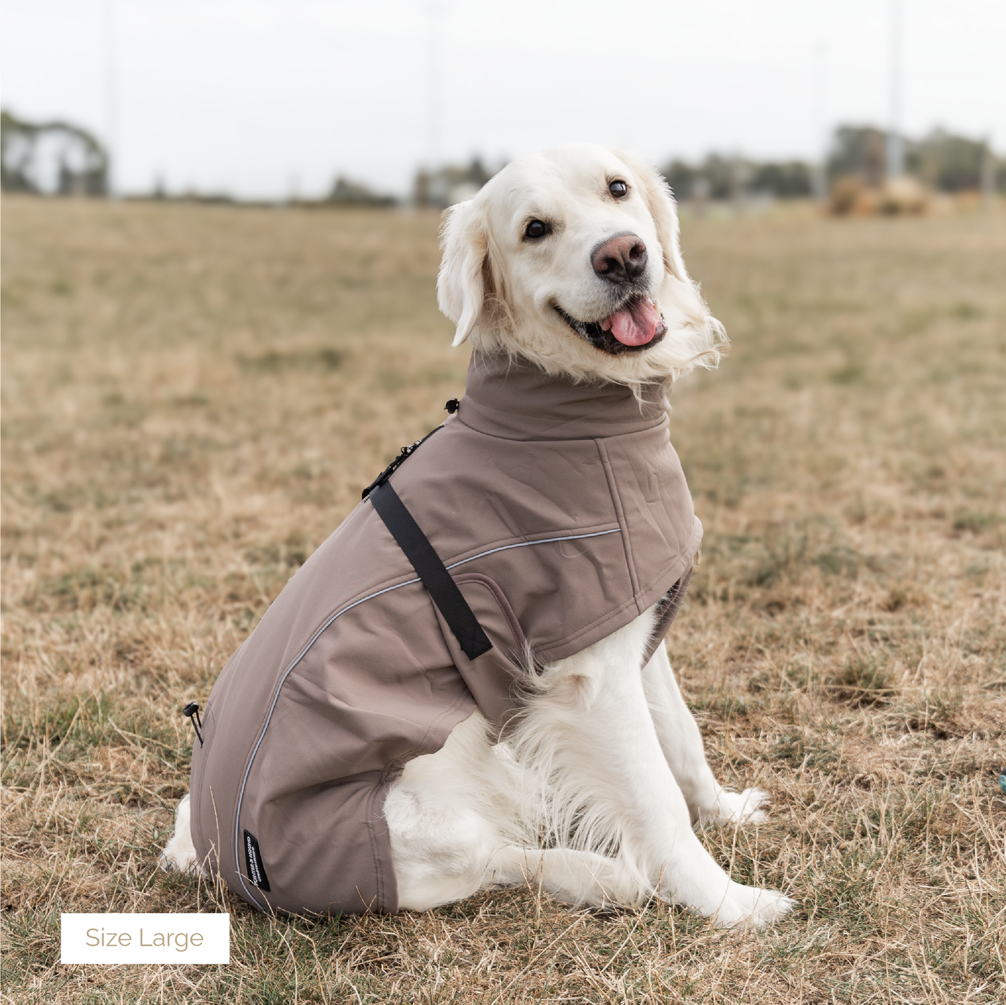 Waterproof Jacket - Mushroom