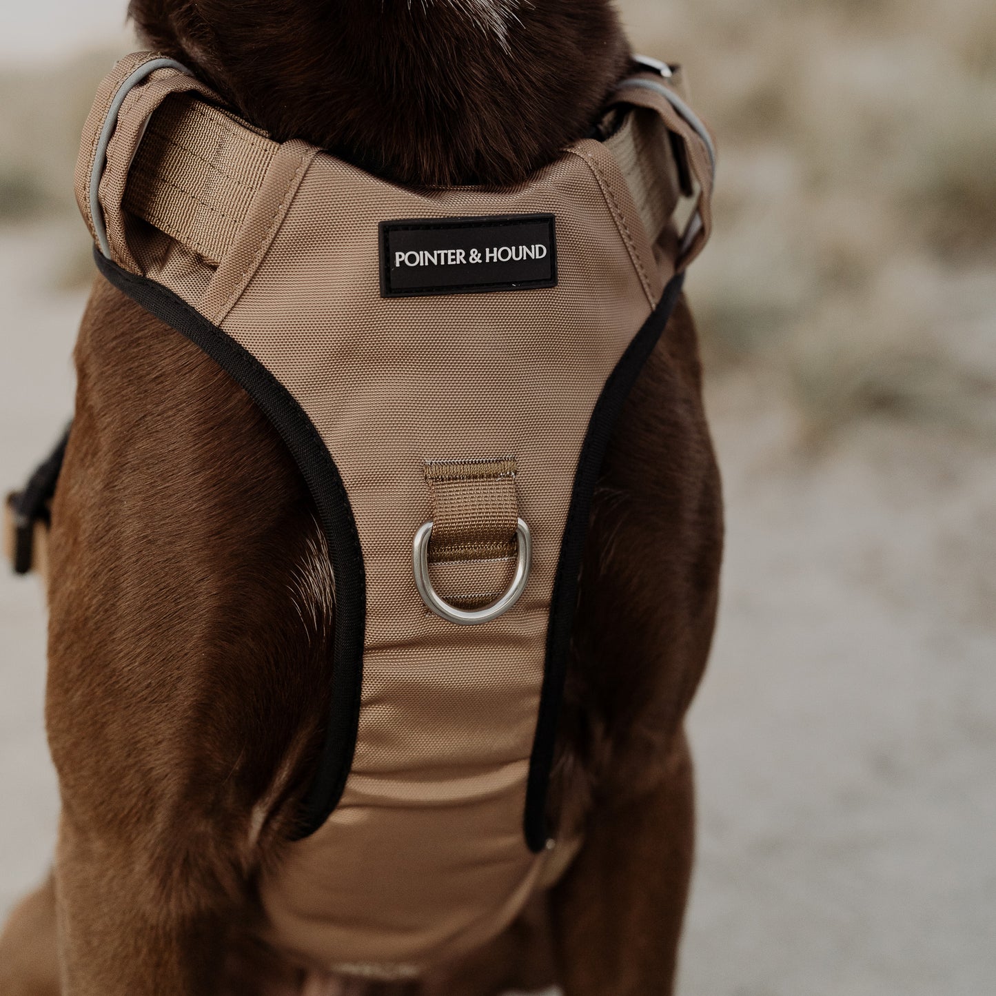 Tactical Harness - Tan