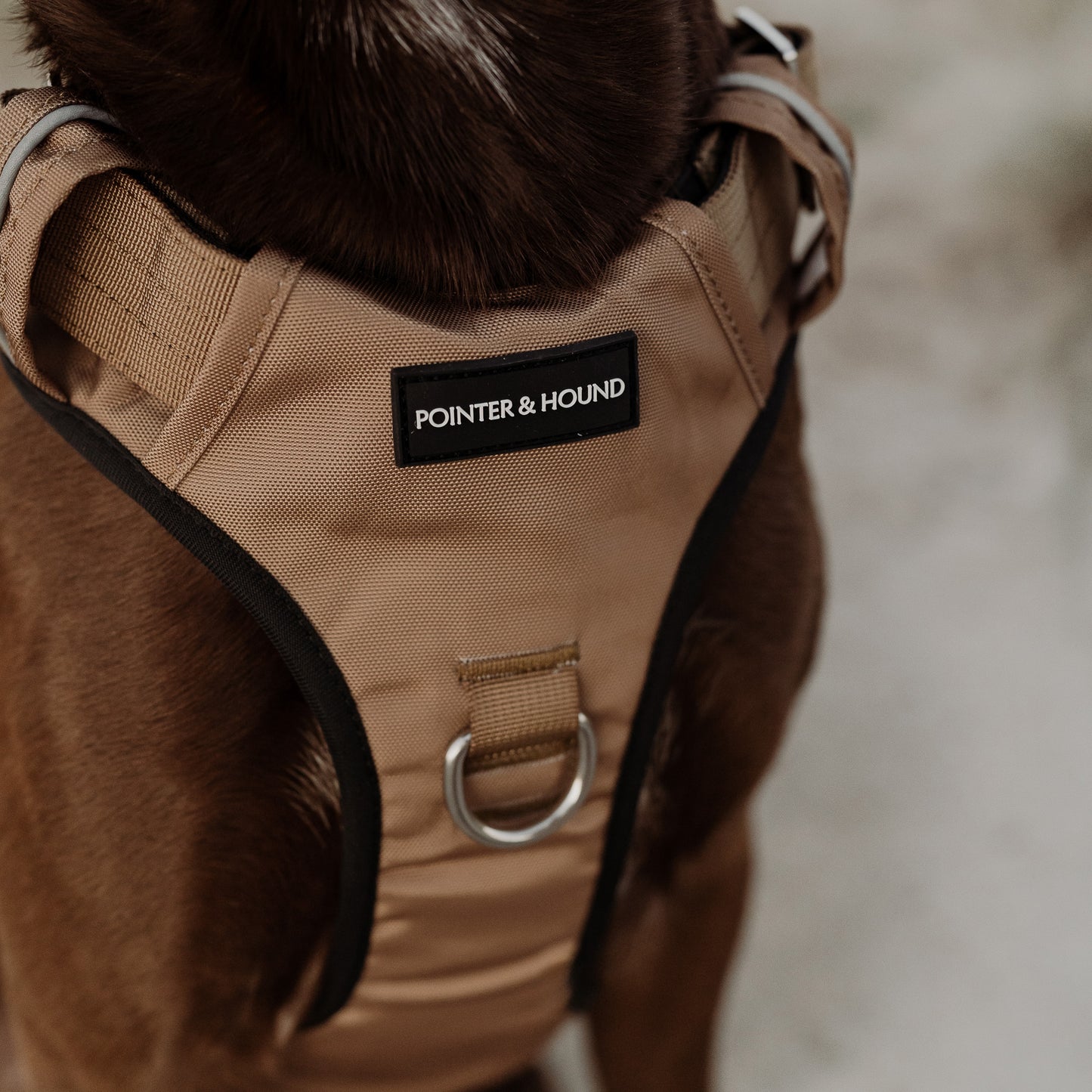 Tactical Harness - Tan