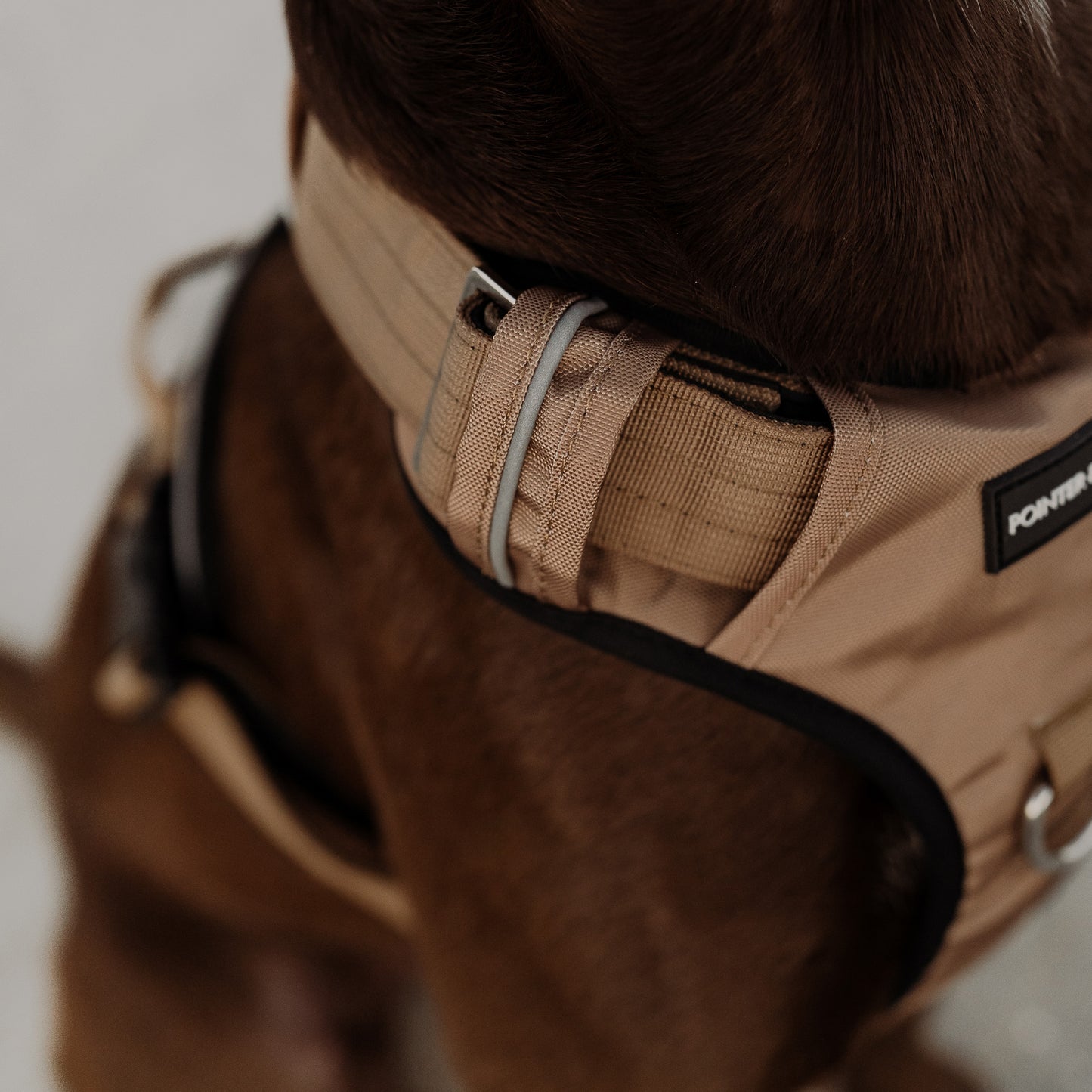 Tactical Harness - Tan