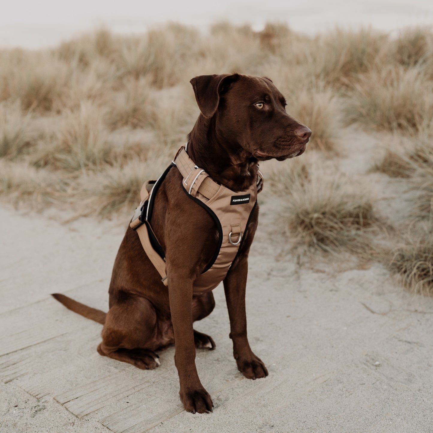 Tactical Harness - Tan