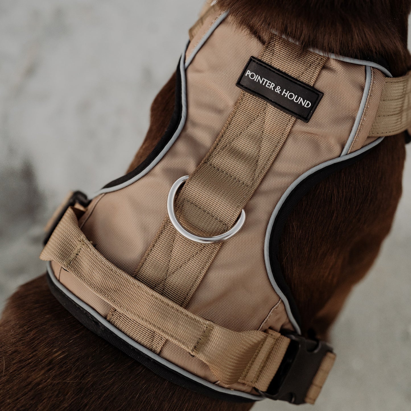 Tactical Harness - Tan