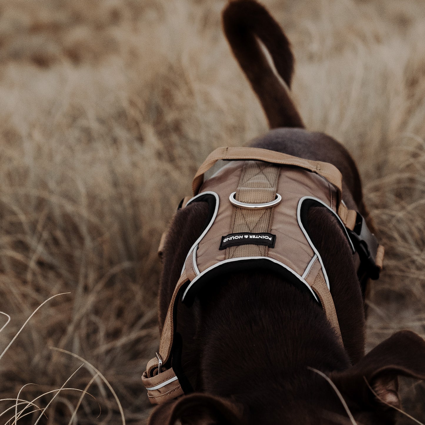 Tactical Harness - Tan