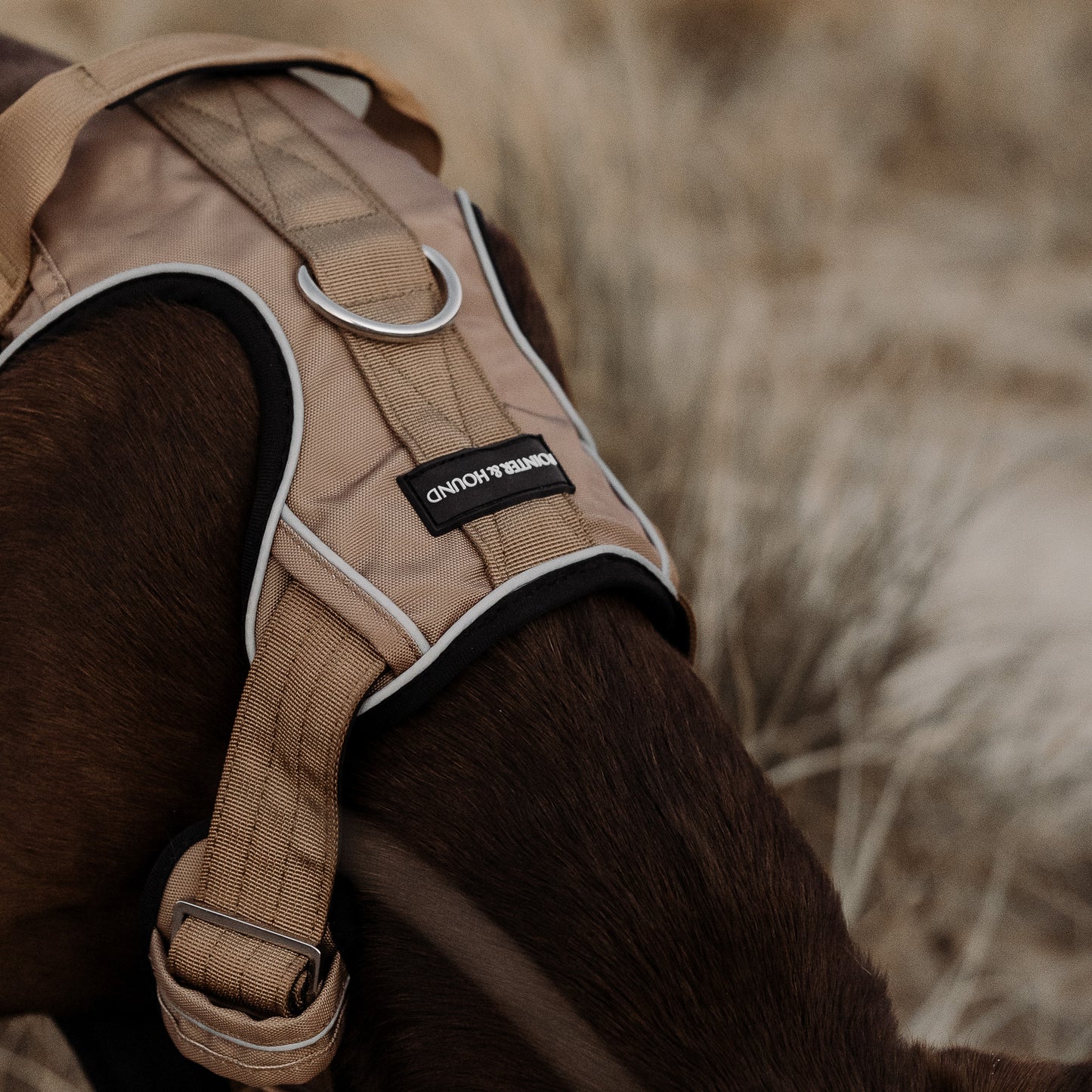 Tactical Harness - Tan