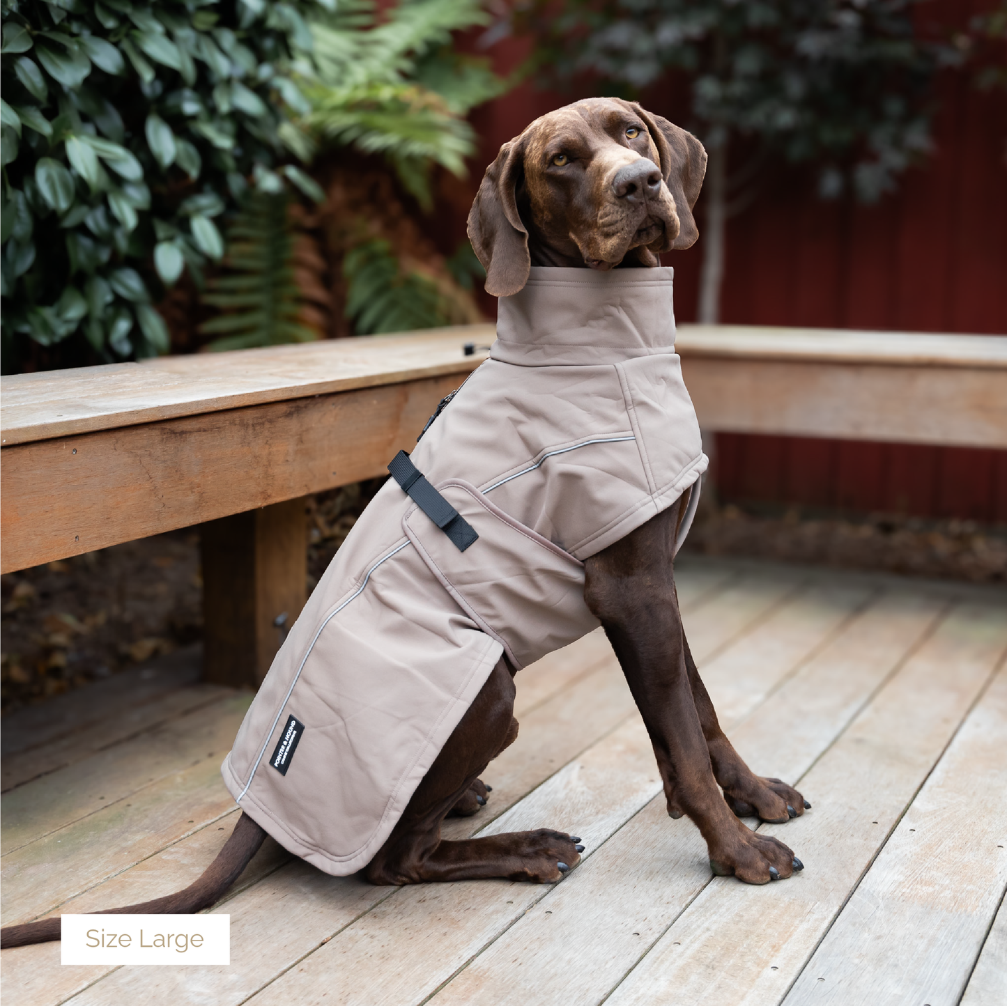 Waterproof Jacket - Mushroom