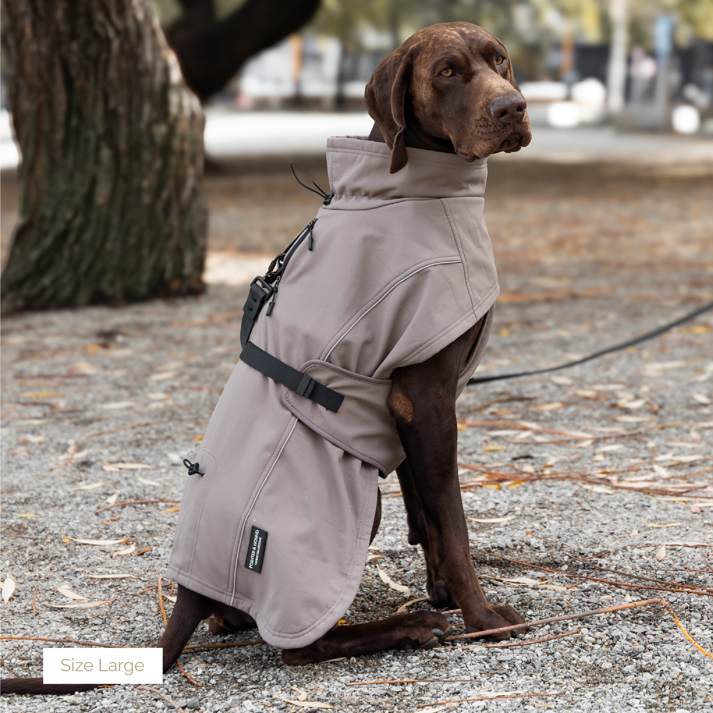 Waterproof Jacket - Mushroom