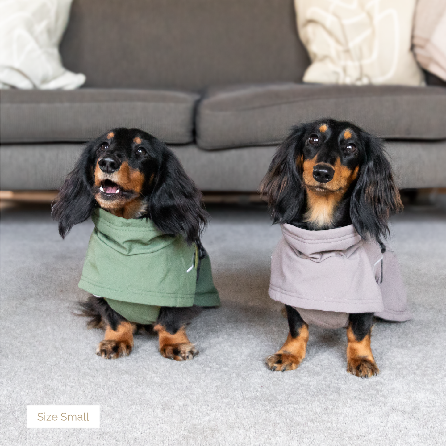 Waterproof Jacket - Mushroom