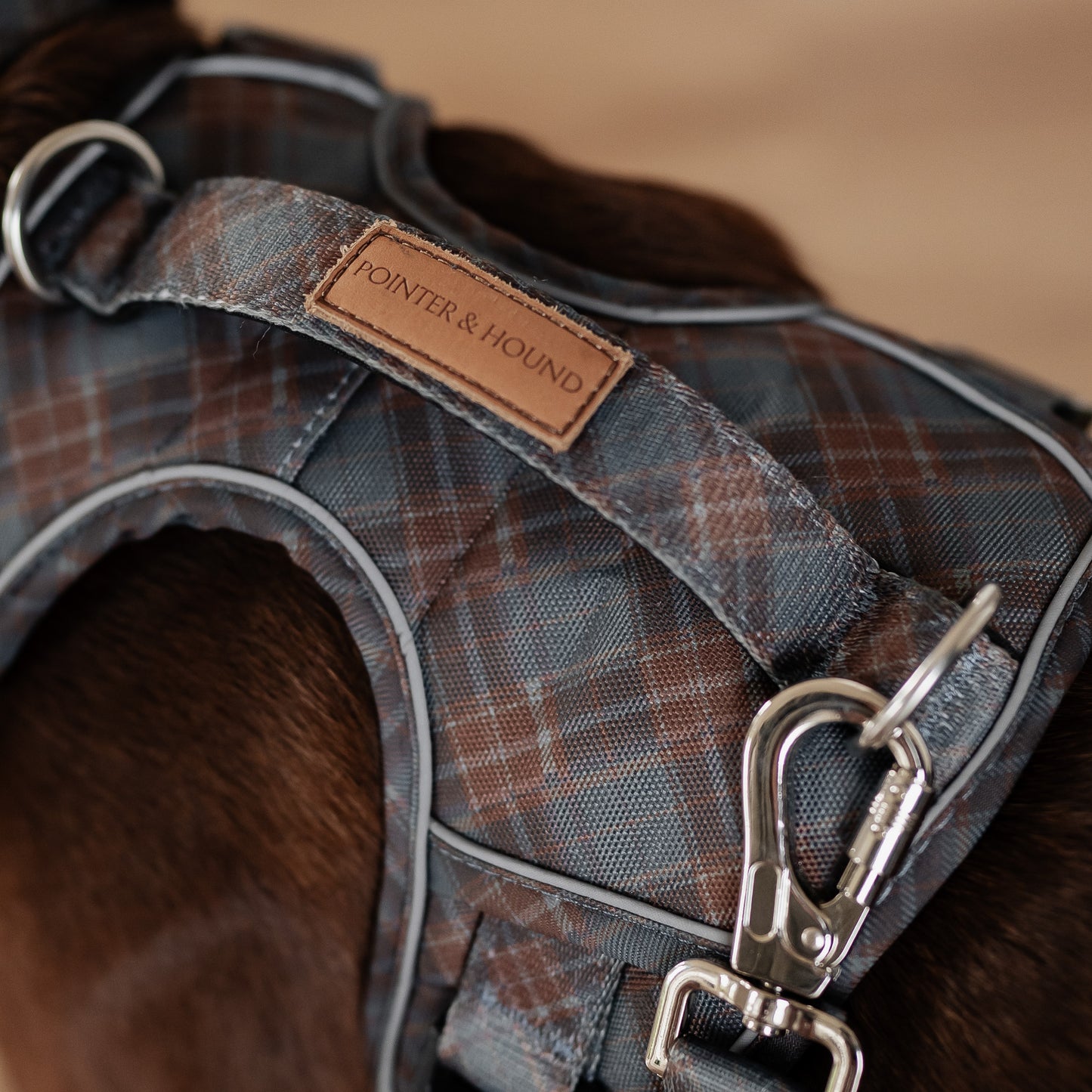 Signature Harness - Blue Tartan