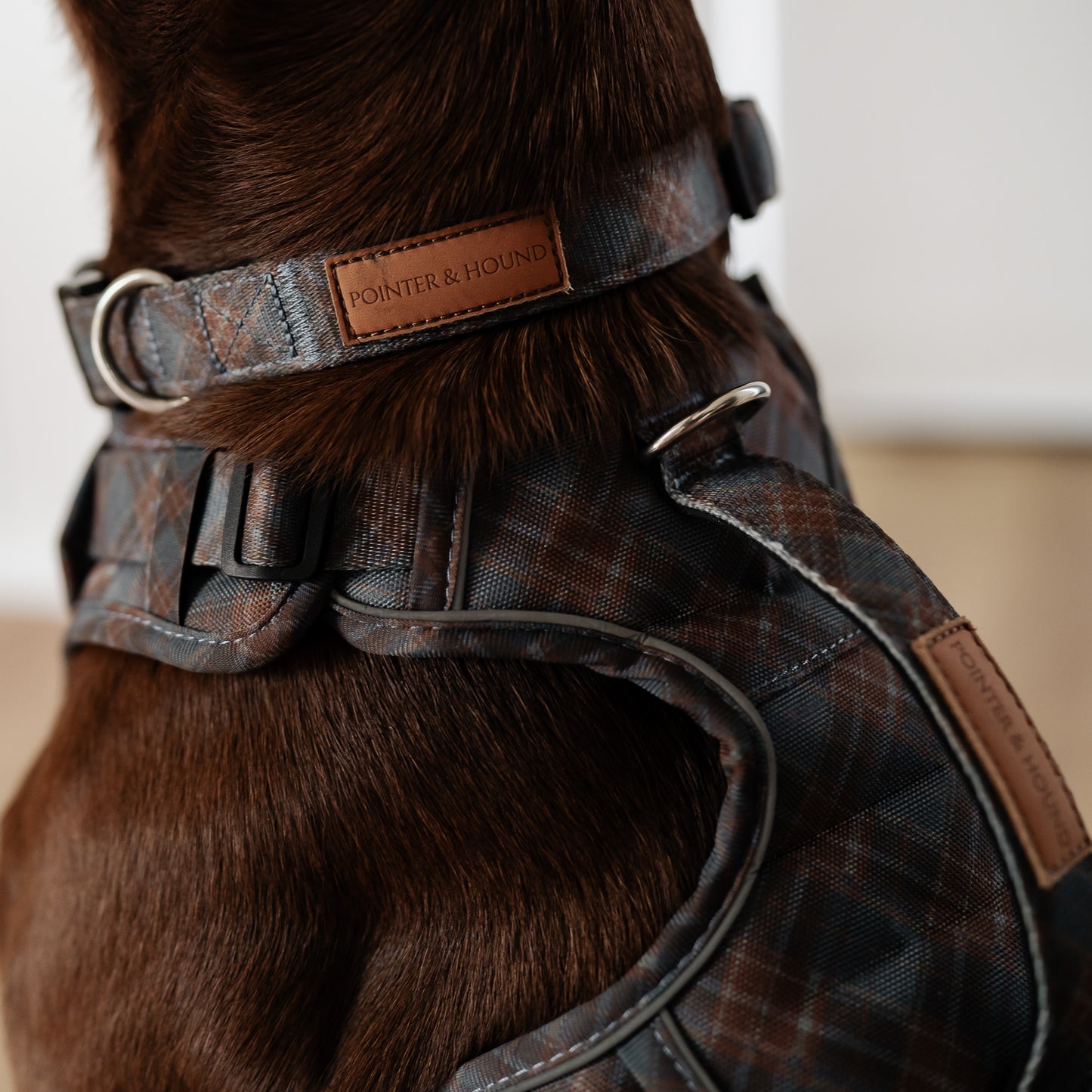 Signature Harness - Blue Tartan