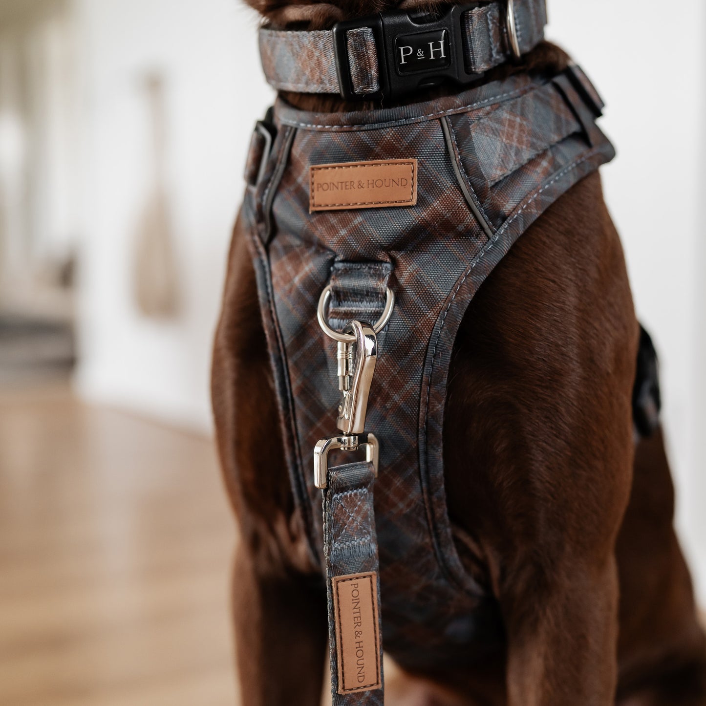 Signature Harness - Blue Tartan