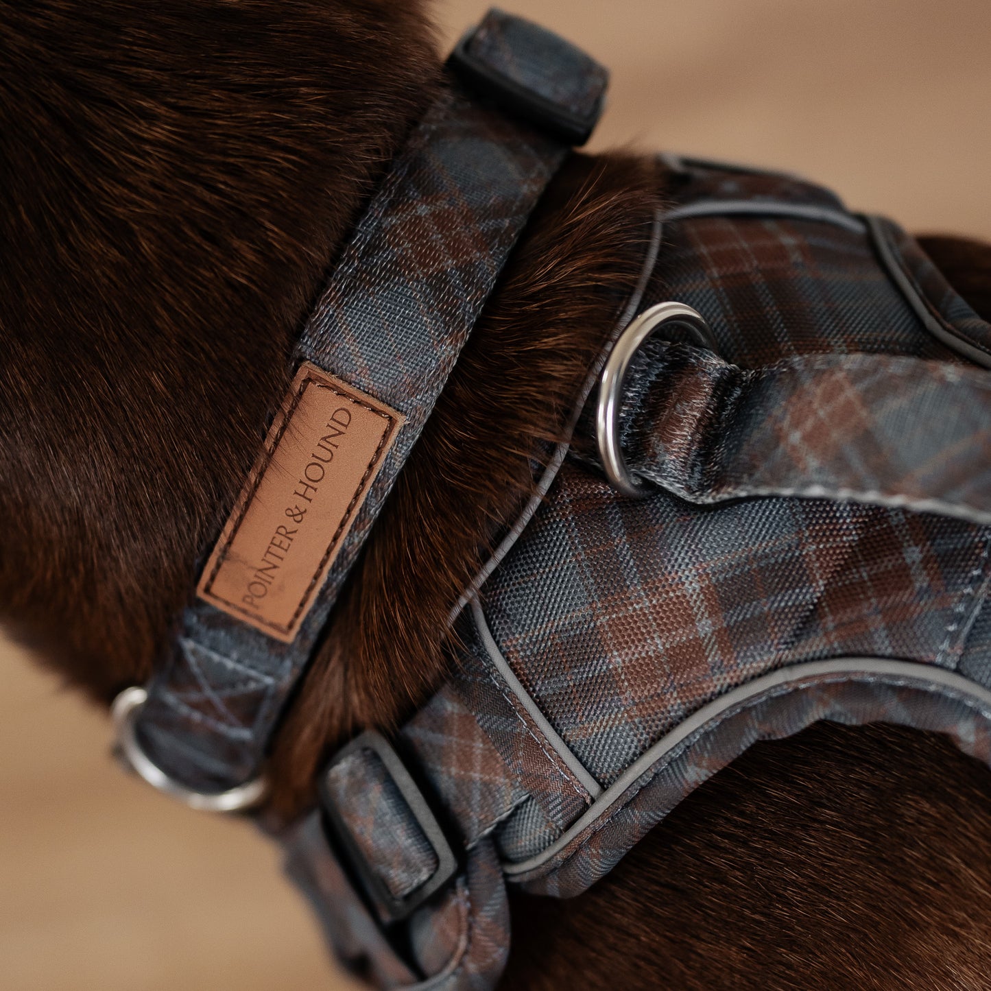 Signature Collar - Blue Tartan