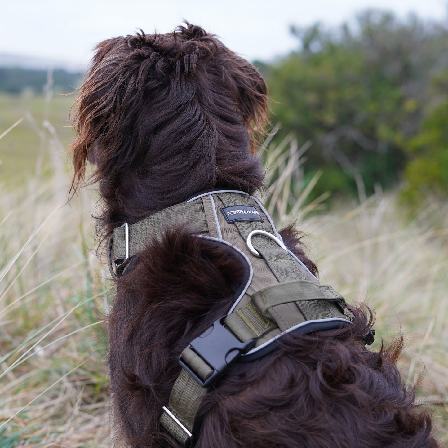 Tactical Harness - Army Green