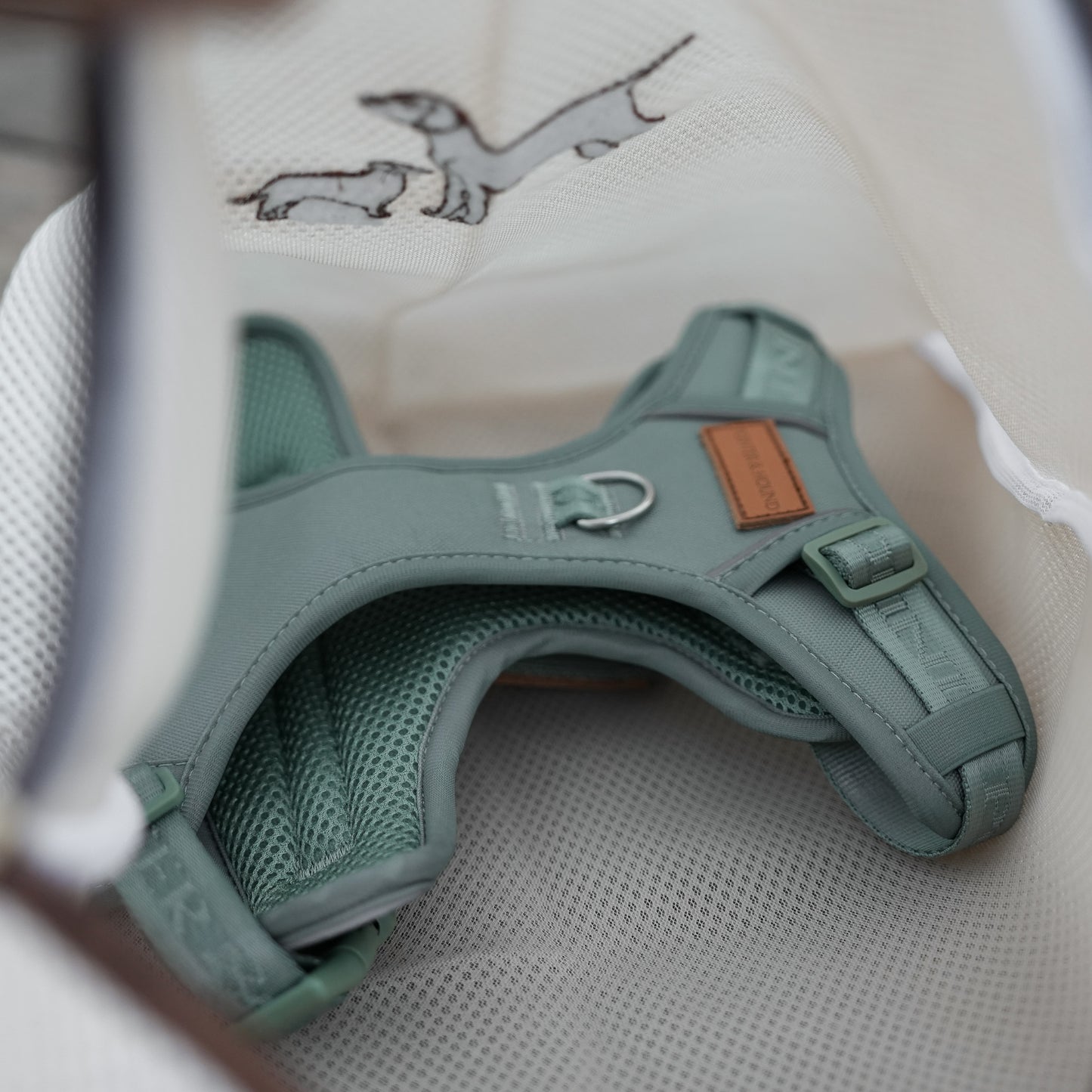 Signature Harness - Eucalyptus