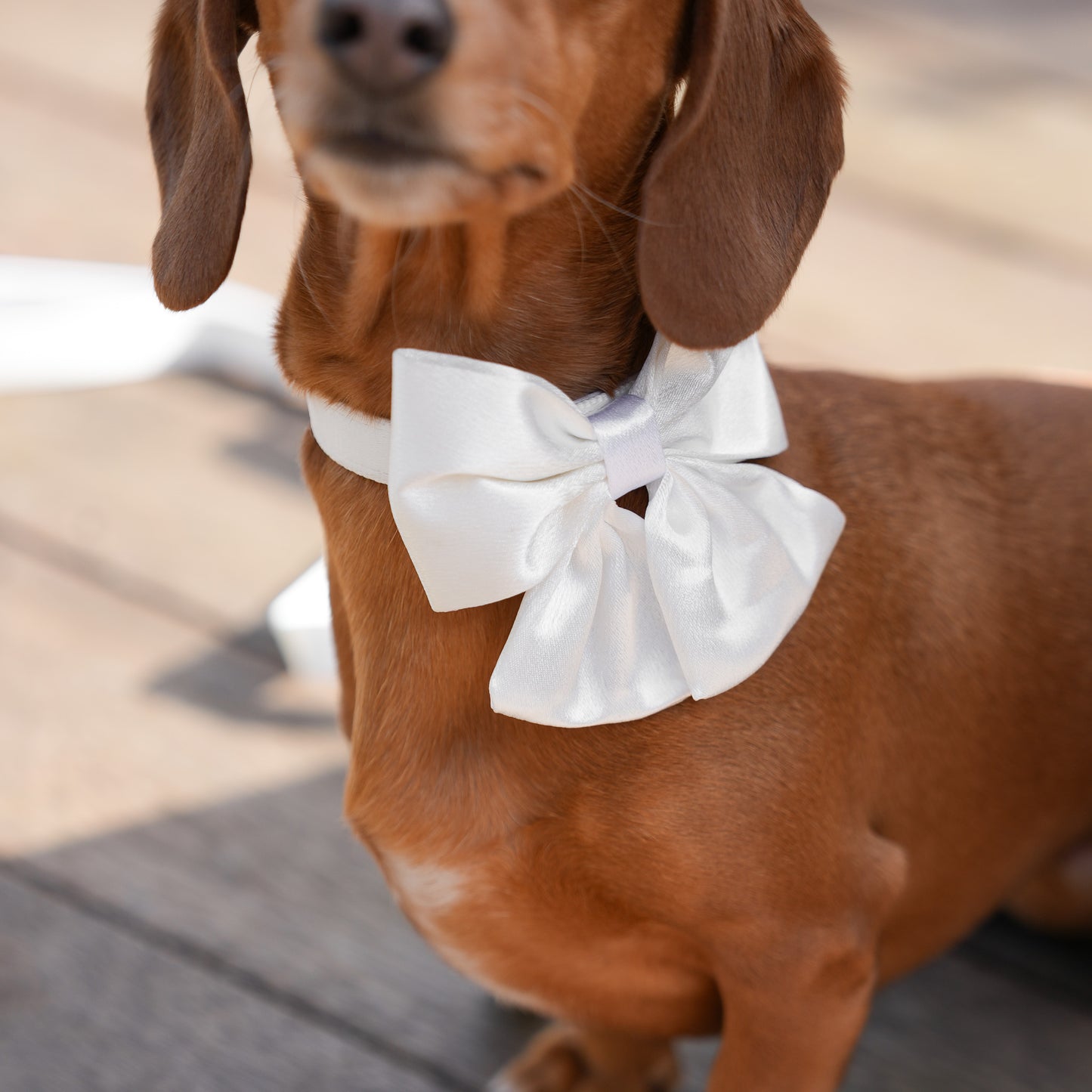 Wedding Set - White Bow