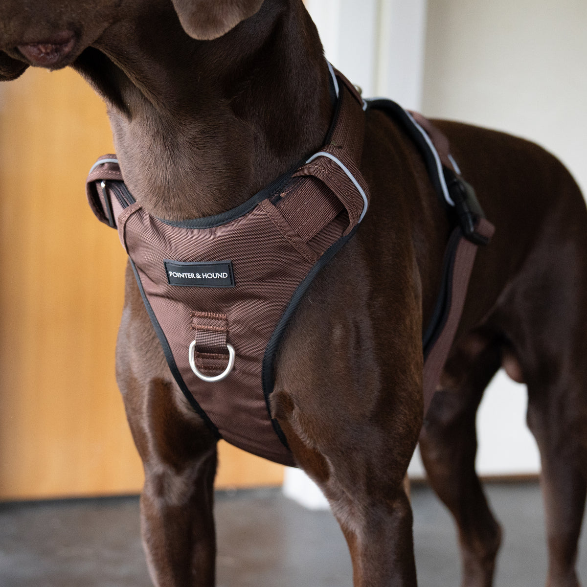 Tactical Harness - Maroon Brown