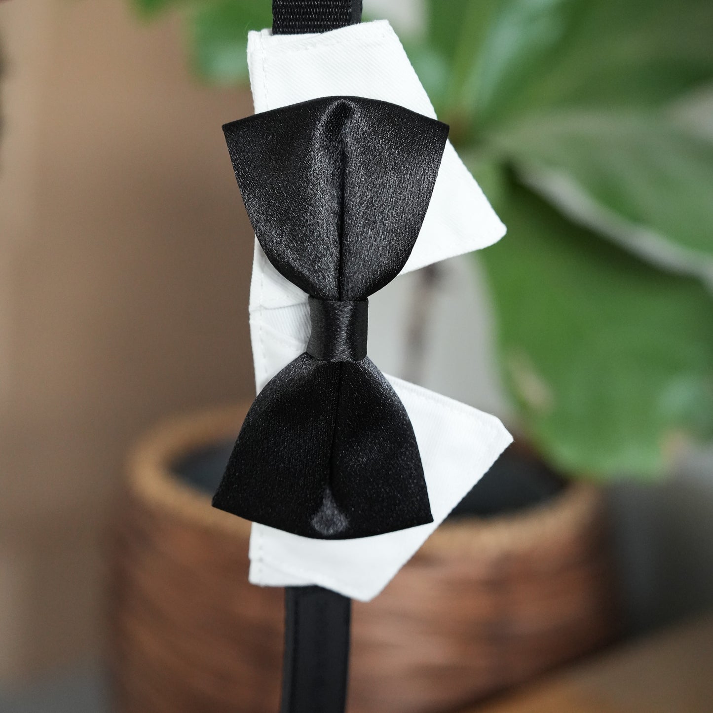 Wedding Set - Black Bow Tie