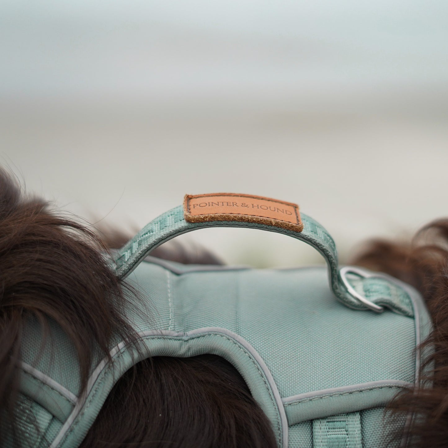 Signature Harness - Eucalyptus