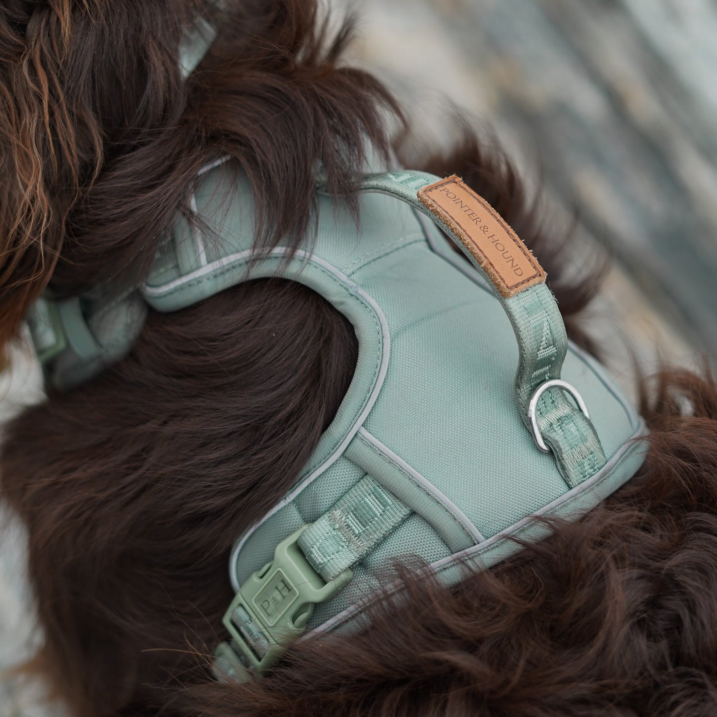 Signature Harness - Eucalyptus