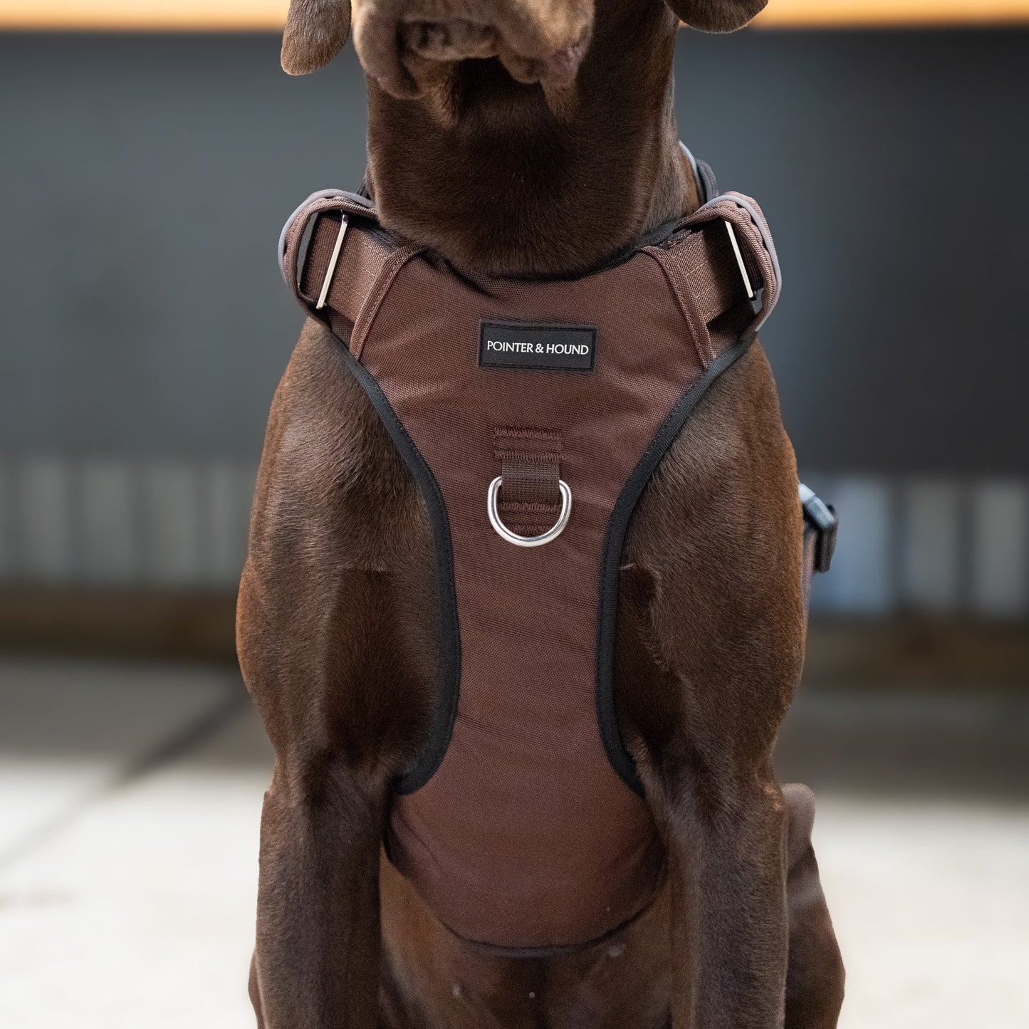 Tactical Harness - Maroon Brown
