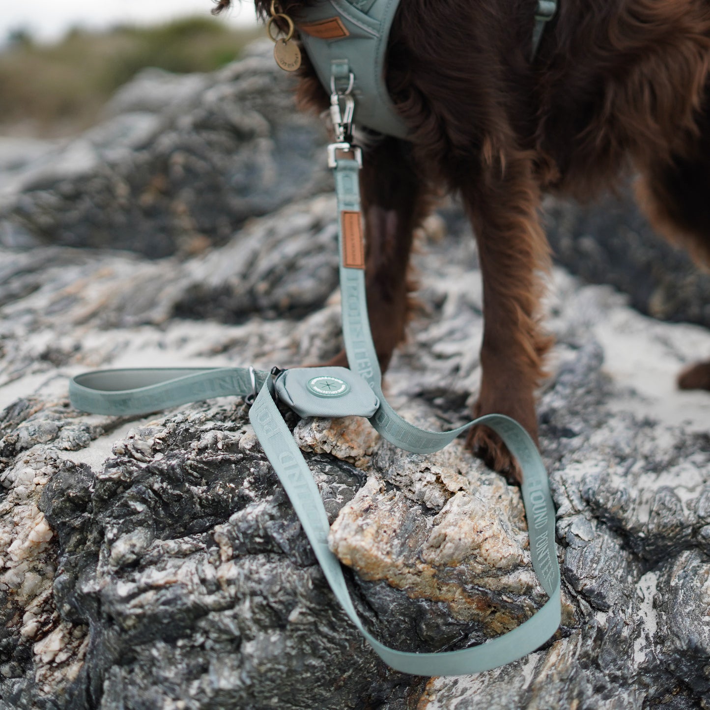 Poop Bag Holder - Eucalyptus