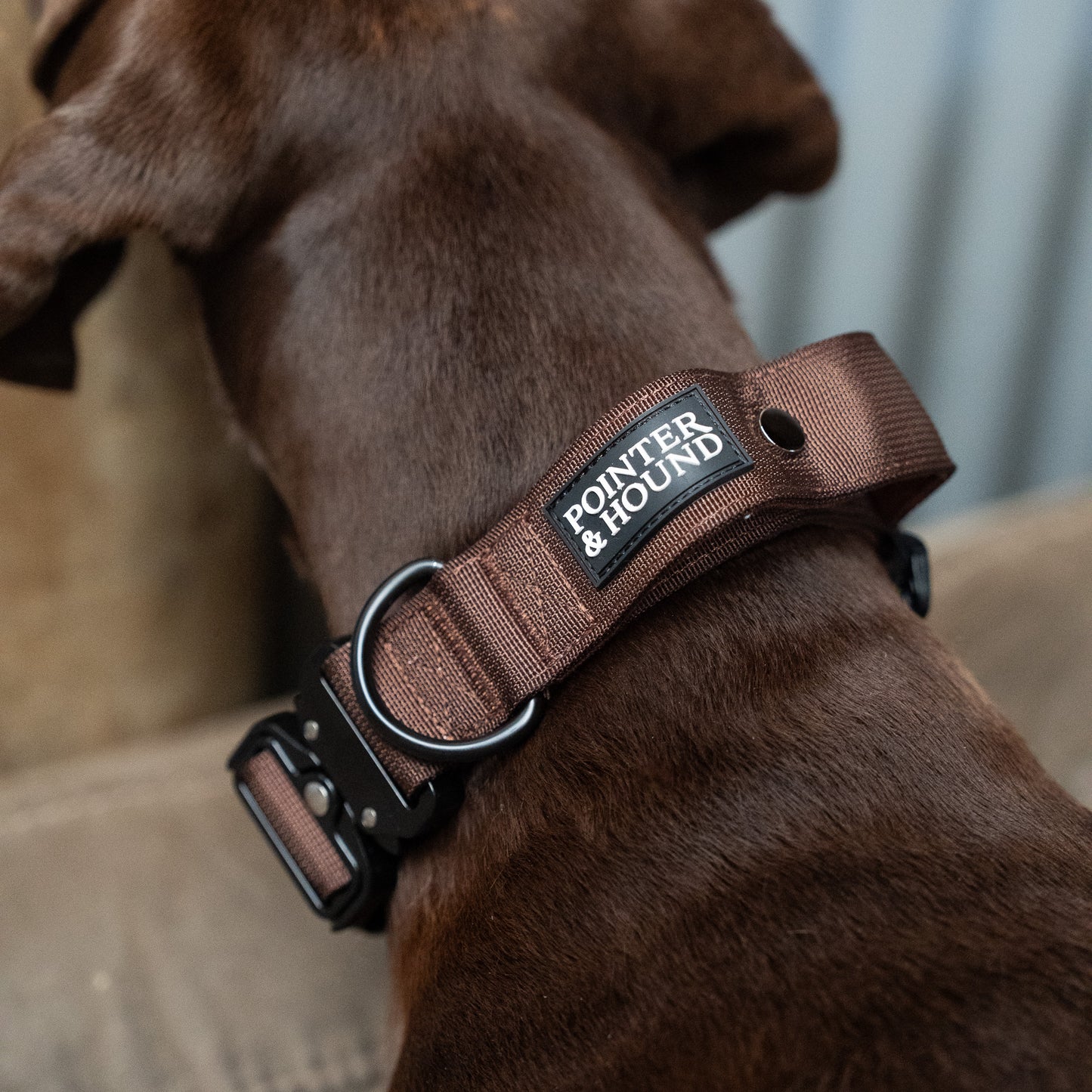 Tactical Collar - Maroon Brown
