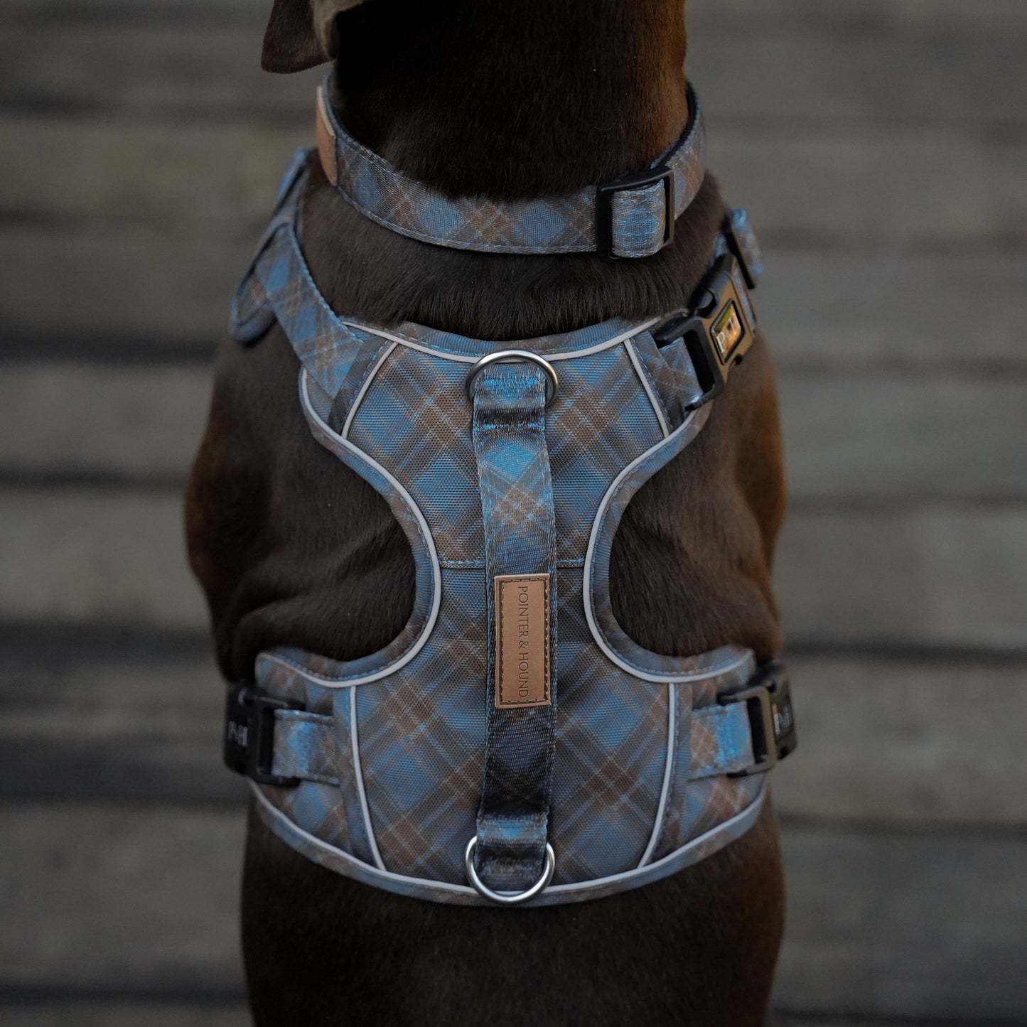 Signature Walk Set - Blue Tartan
