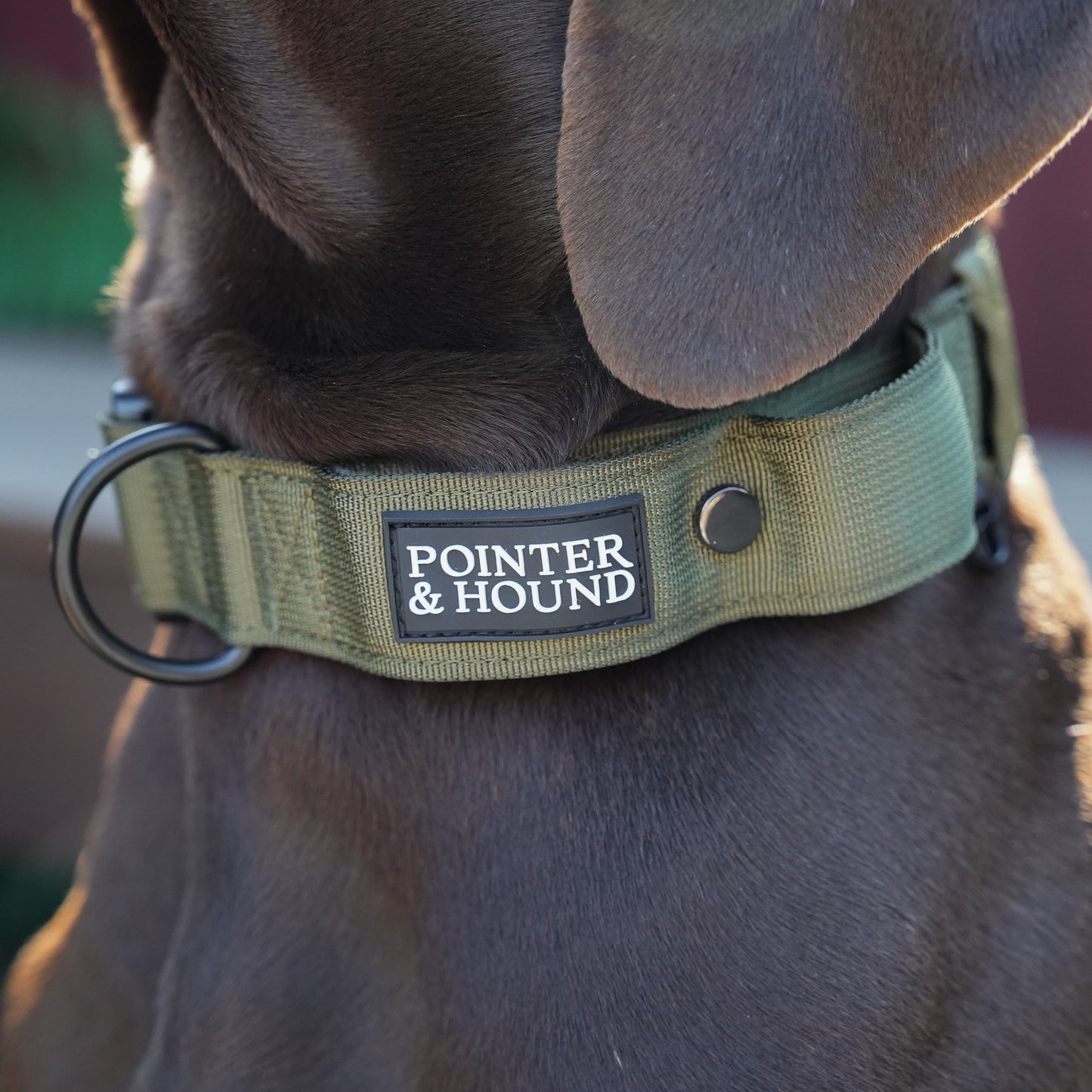 Tactical Collar - Army Green