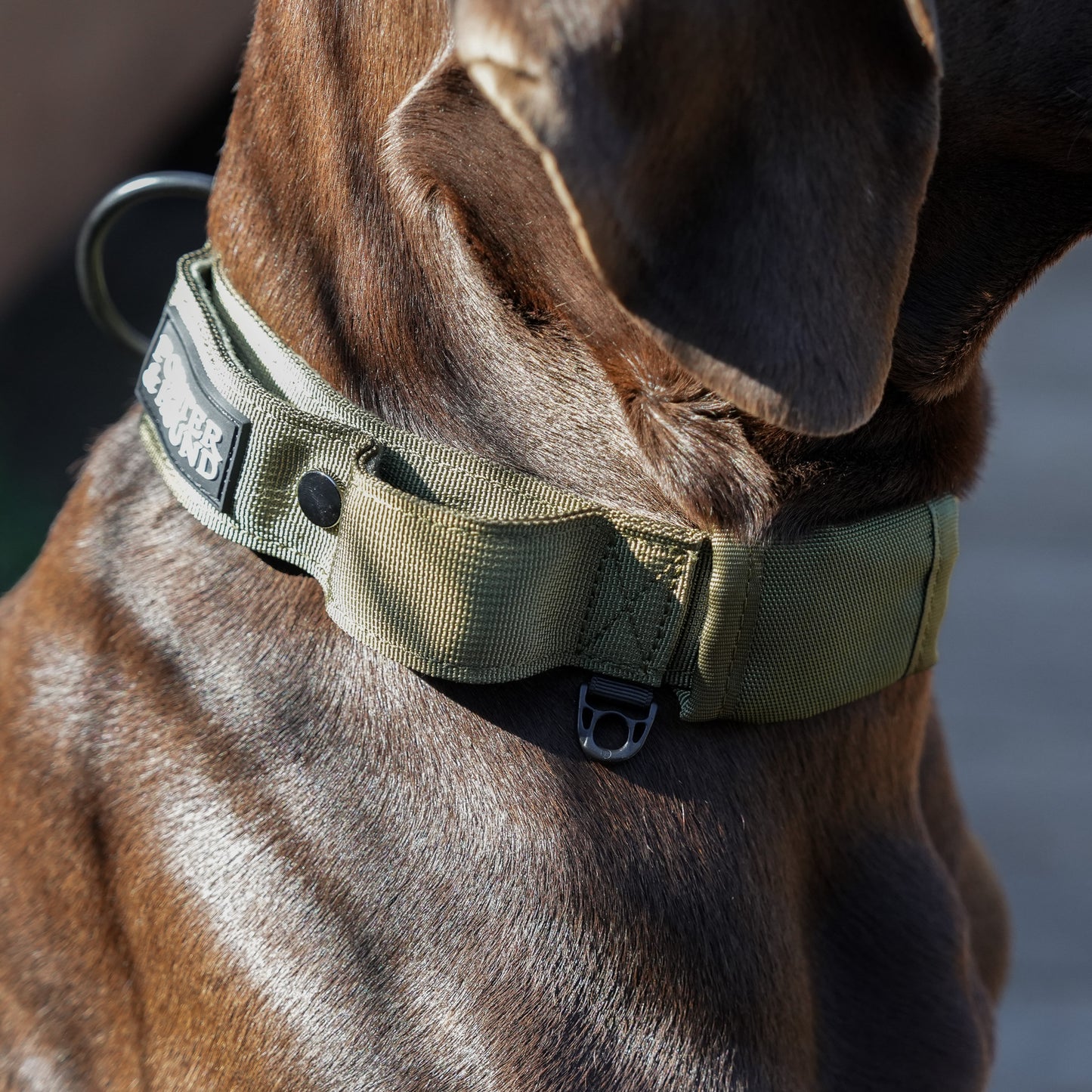 Tactical Collar - Army Green