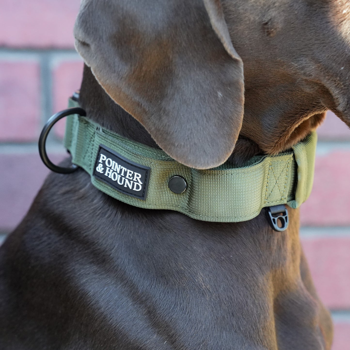 Tactical Collar - Army Green