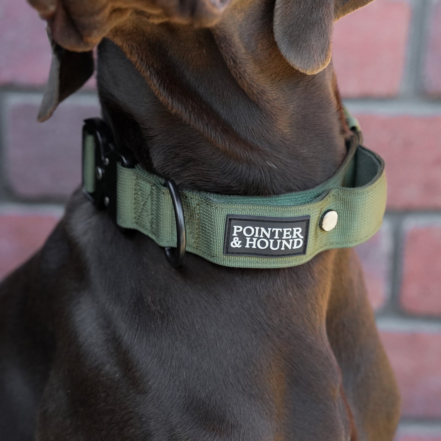 Tactical Collar - Army Green