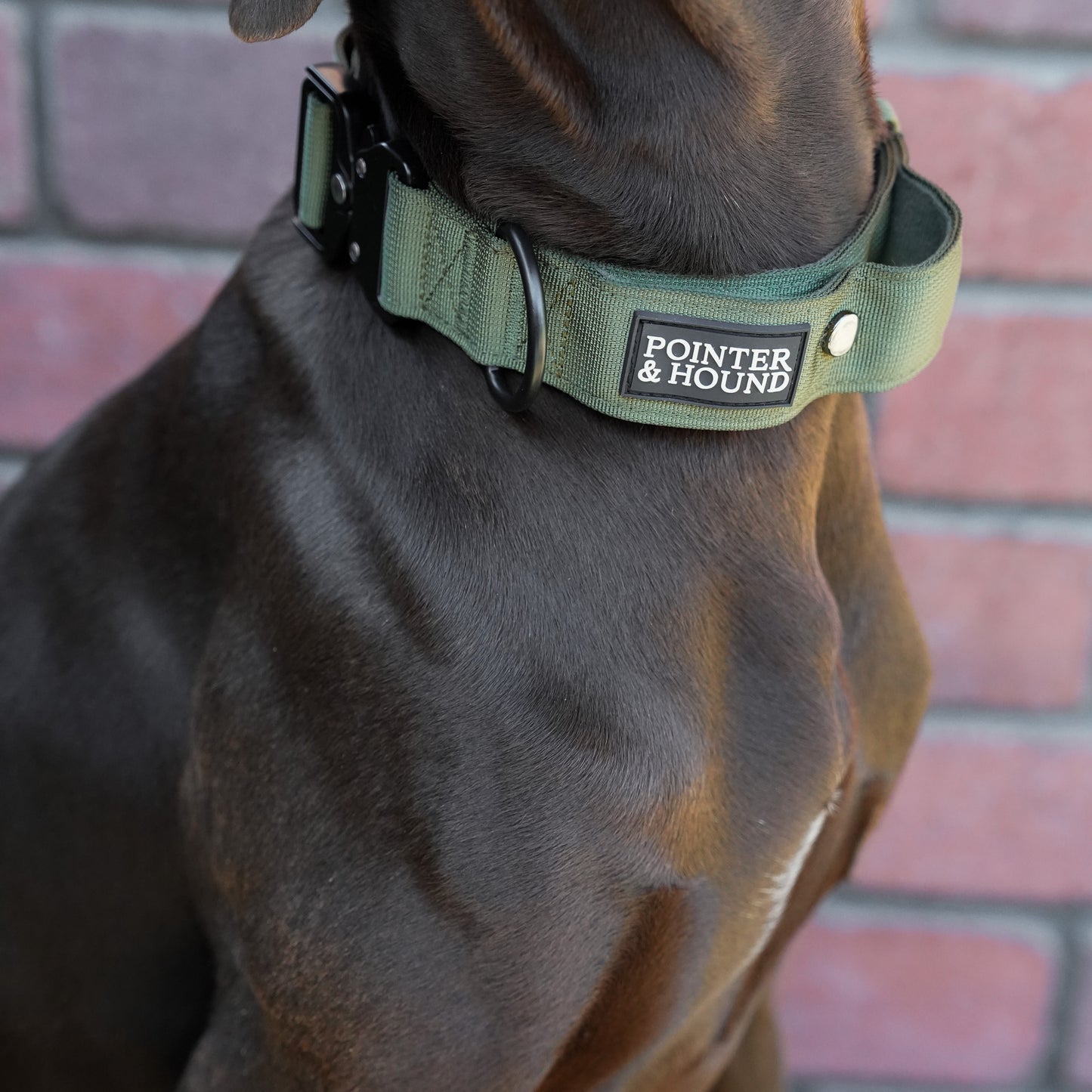 Tactical Collar - Army Green