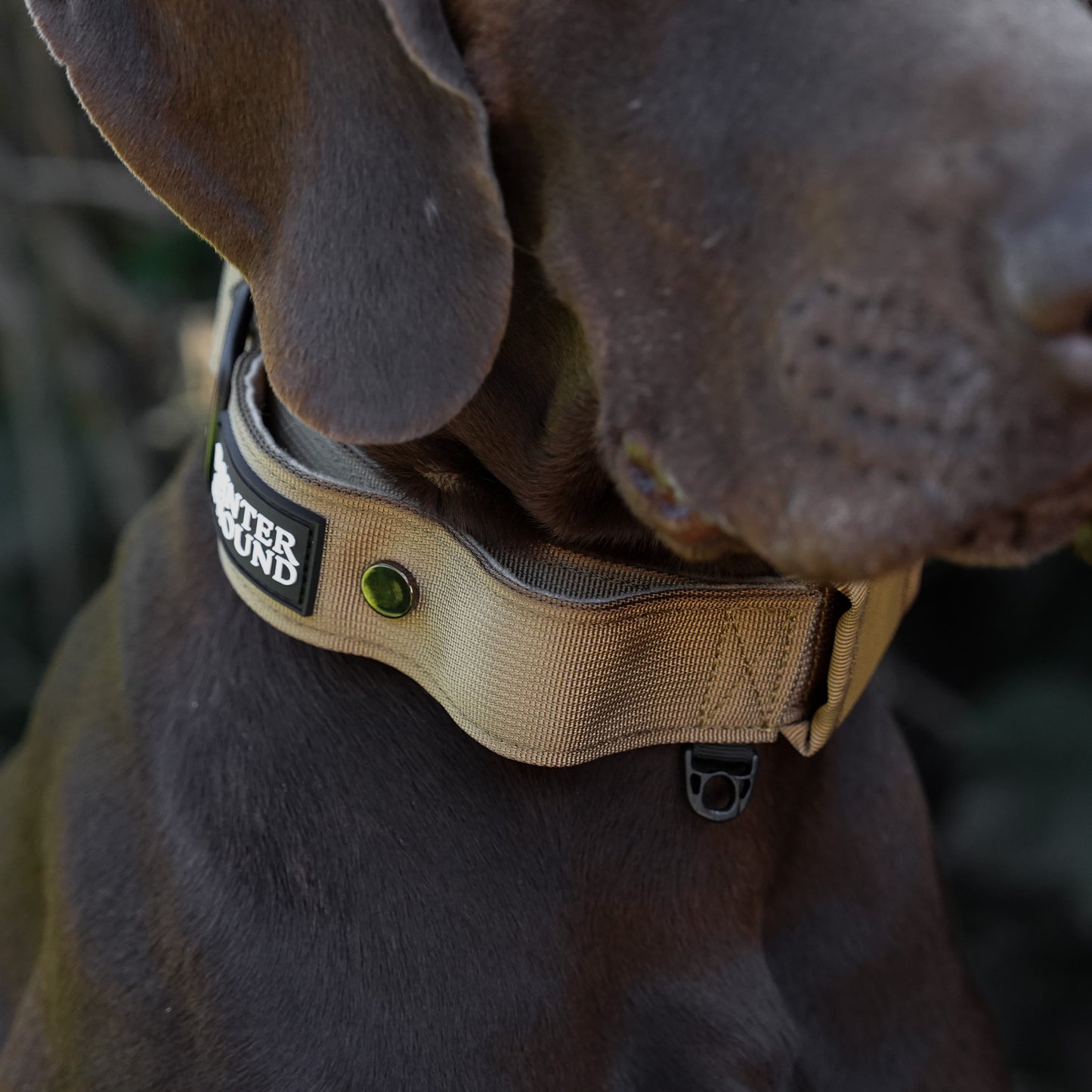Tactical Collar + Leash Combo - Tan