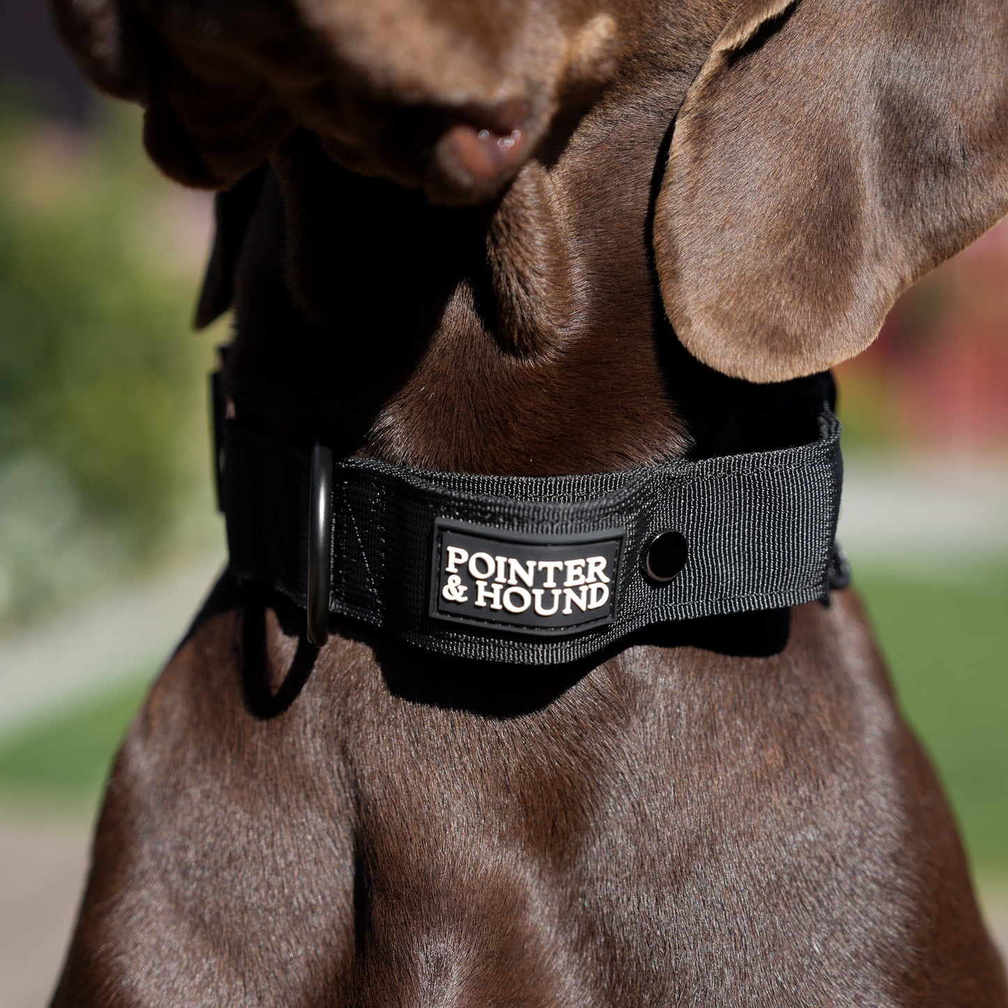 Tactical Collar - Black