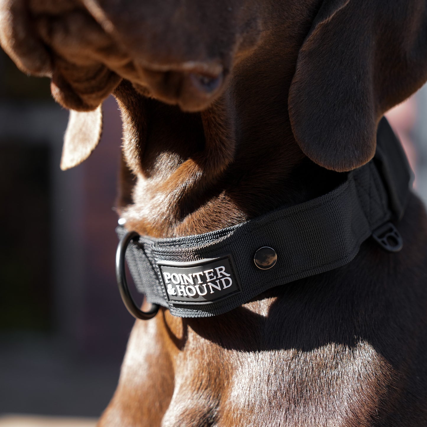 Tactical Collar - Black