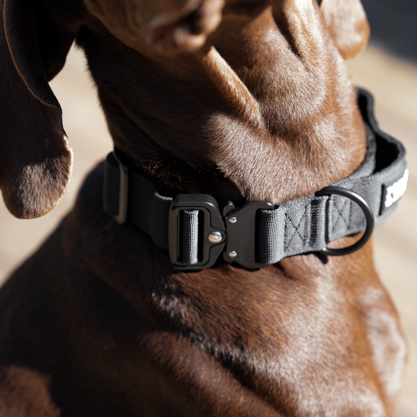 Tactical Collar - Black