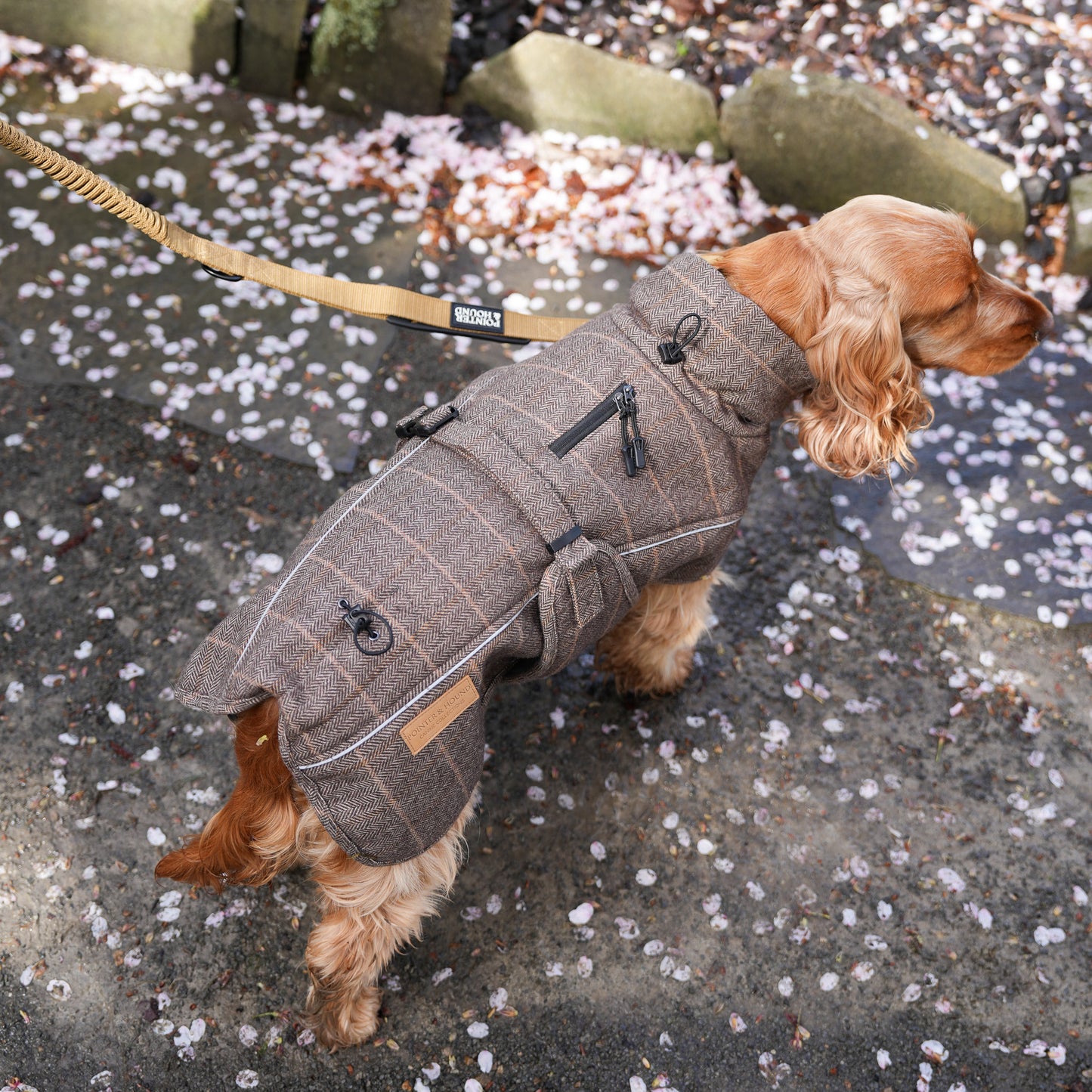Highland Coat