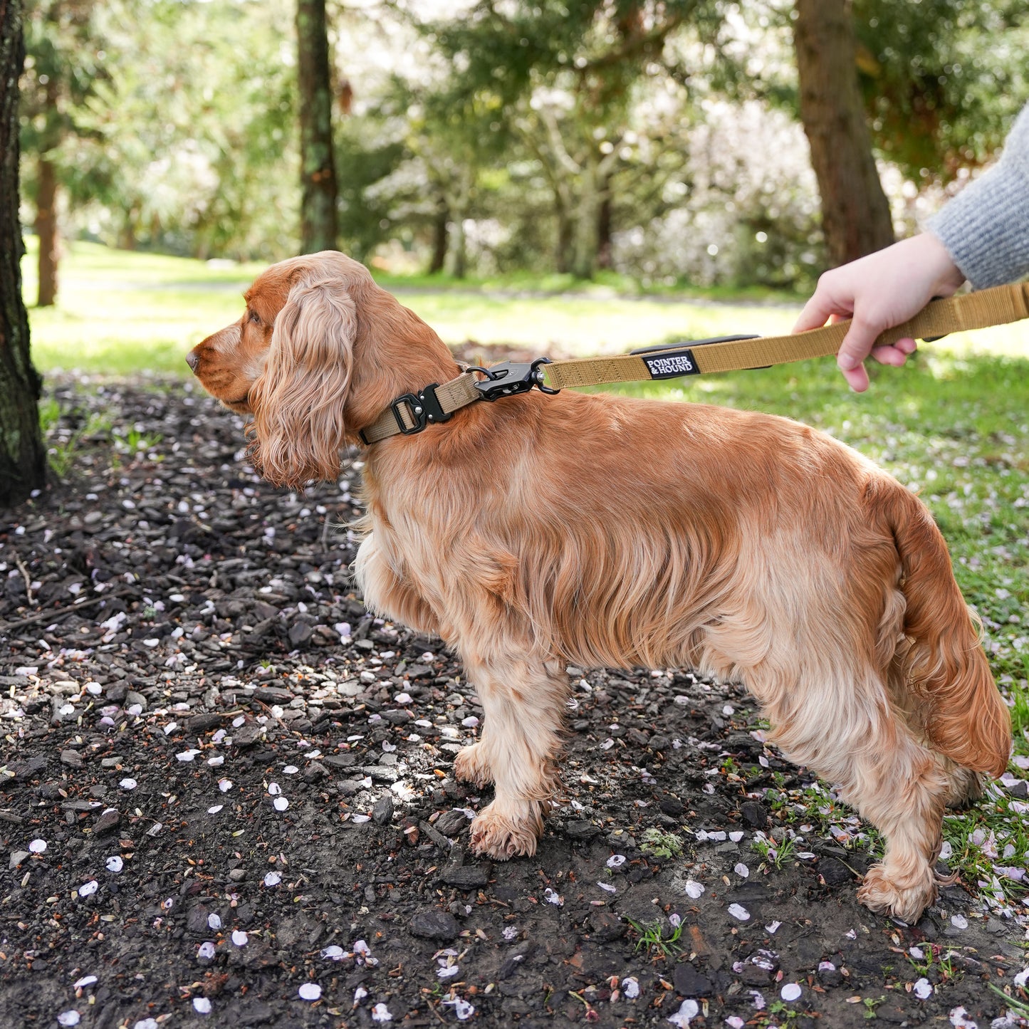 Tactical Leash - Tan