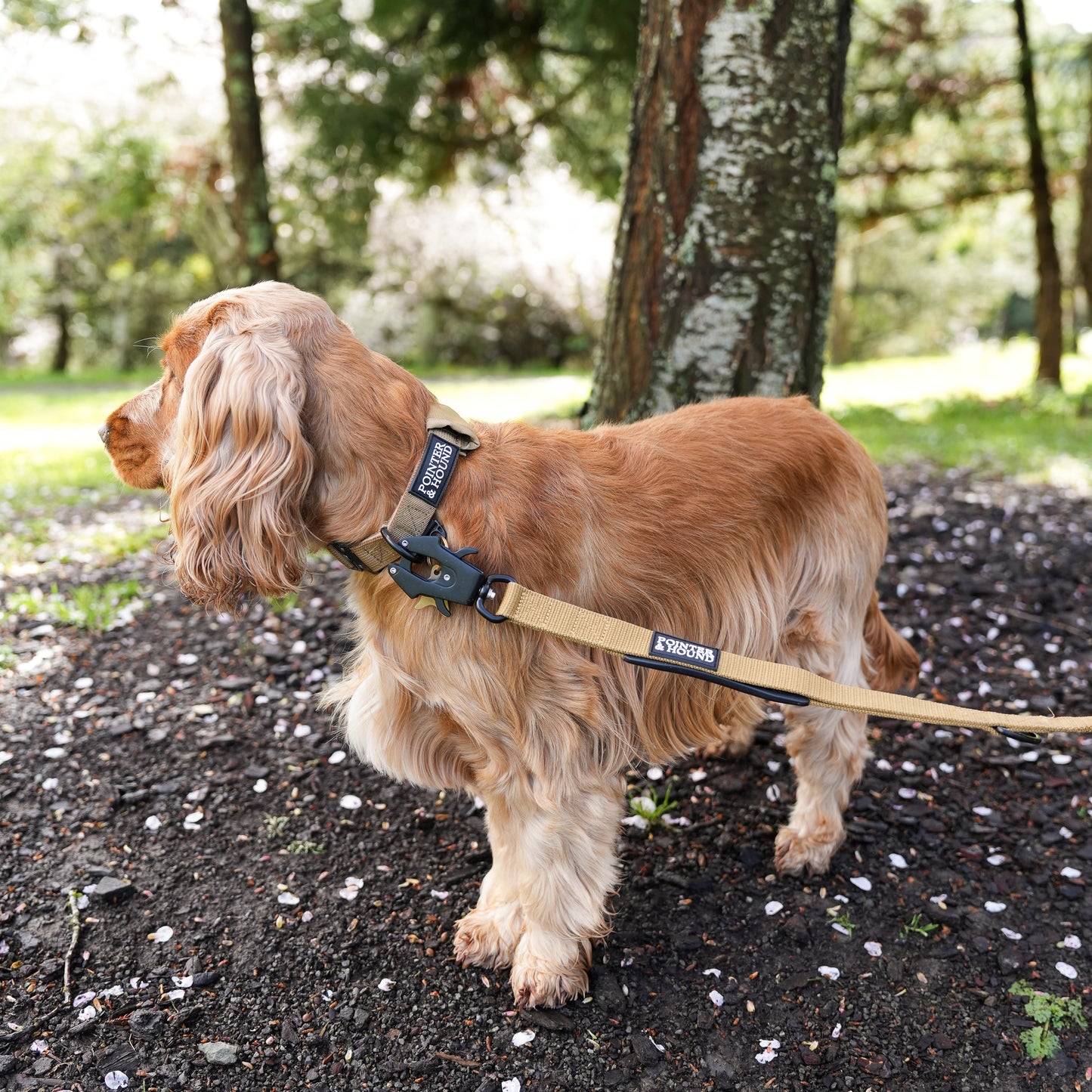Tactical Leash - Tan