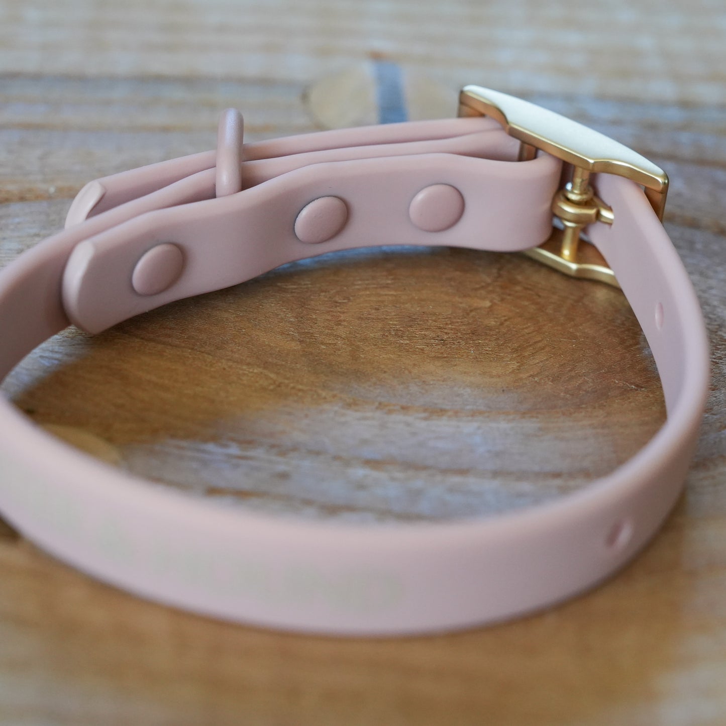 PVC Collar - Blush Pink