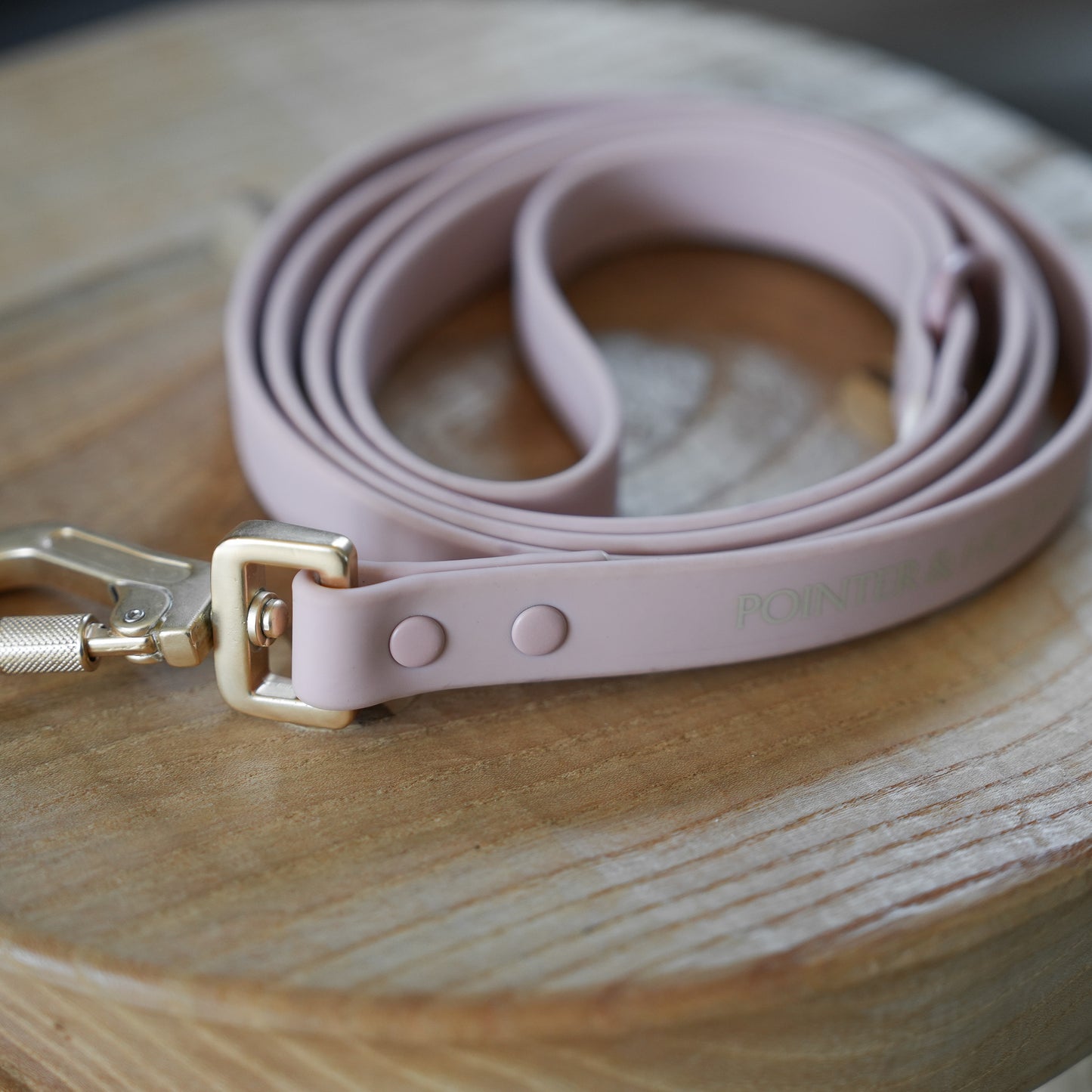 PVC Leash - Blush Pink