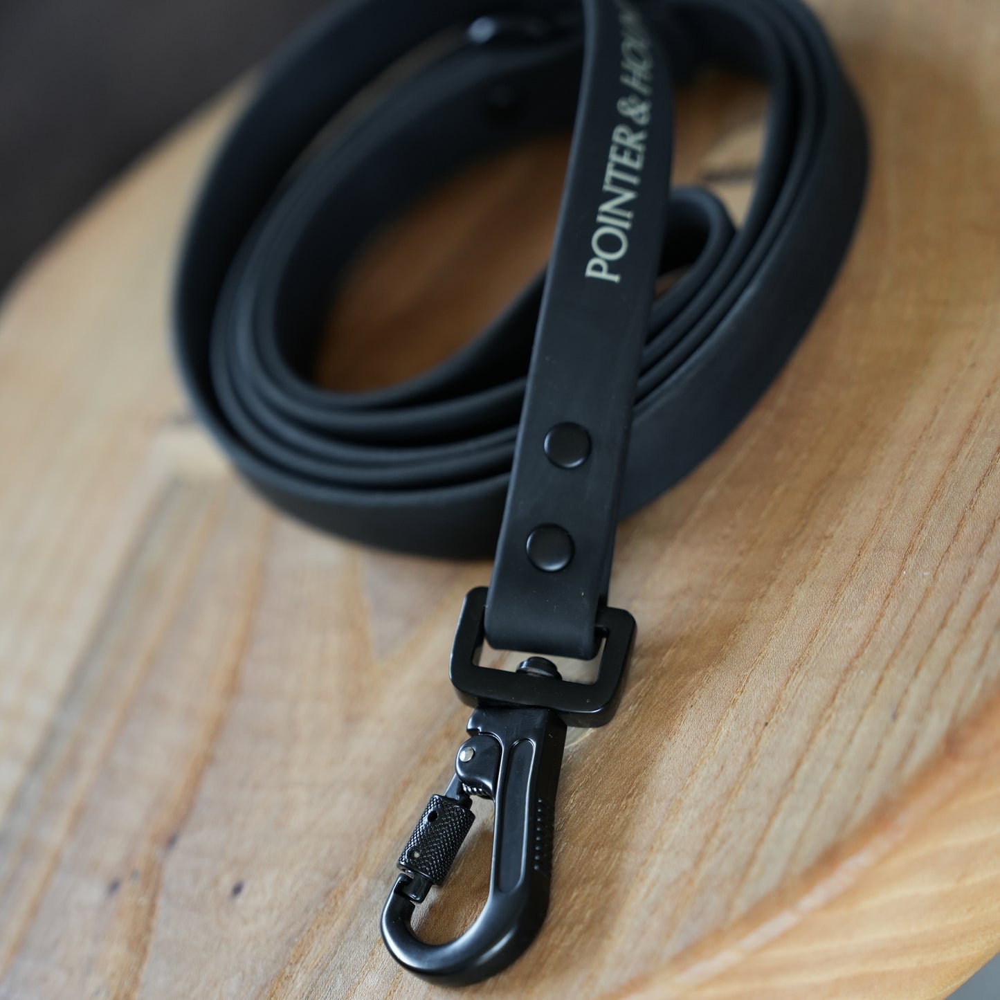 PVC Leash - Black