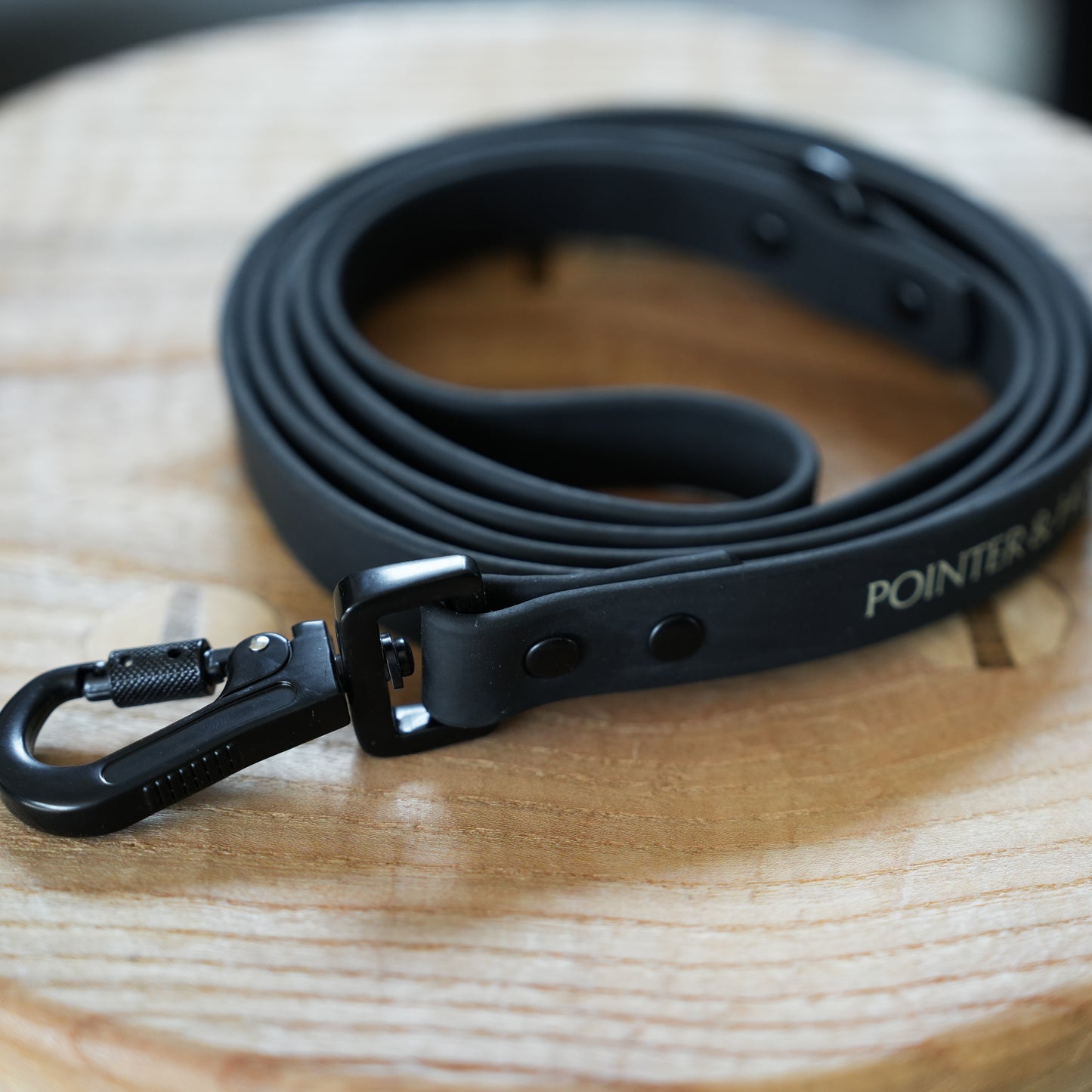 PVC Leash - Black