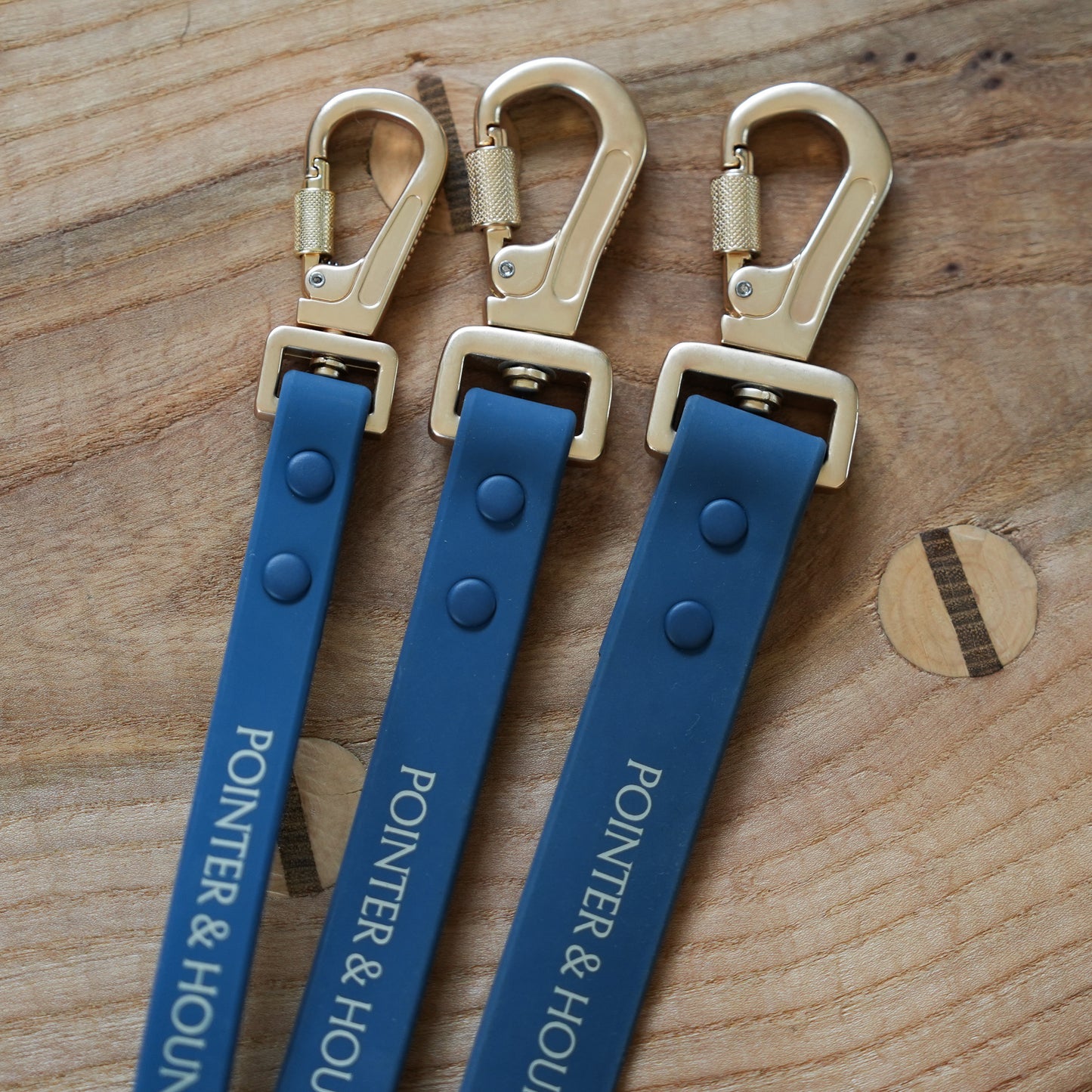 PVC Leash - Blue