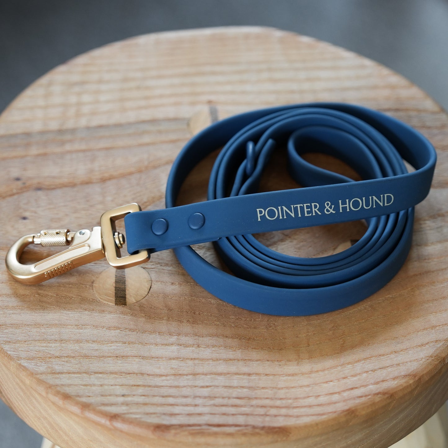 PVC Leash - Blue