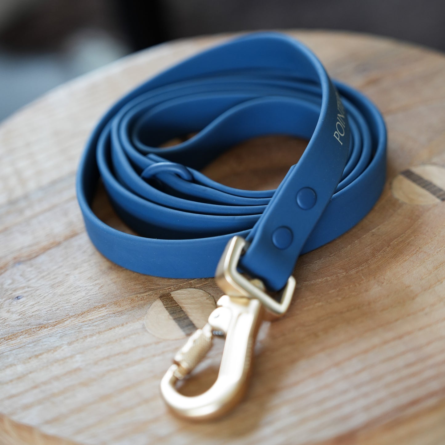 PVC Leash - Blue
