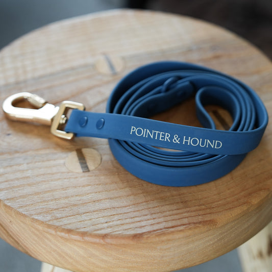 PVC Leash - Blue