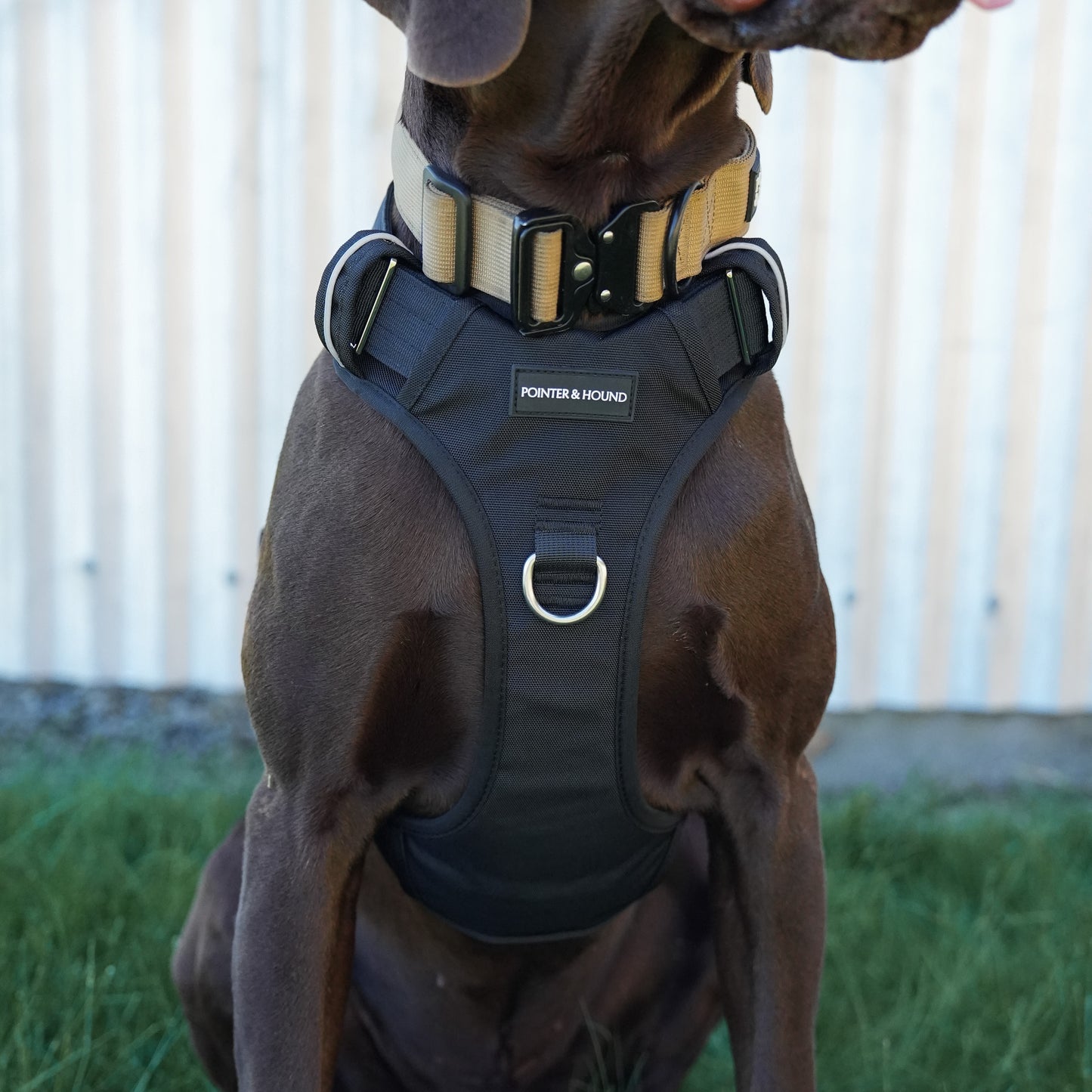 Tactical Harness - Black