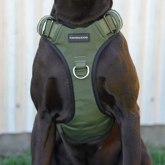 Tactical Harness - Army Green
