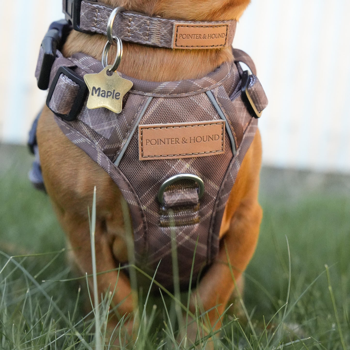 Signature Harness - Brown Tartan